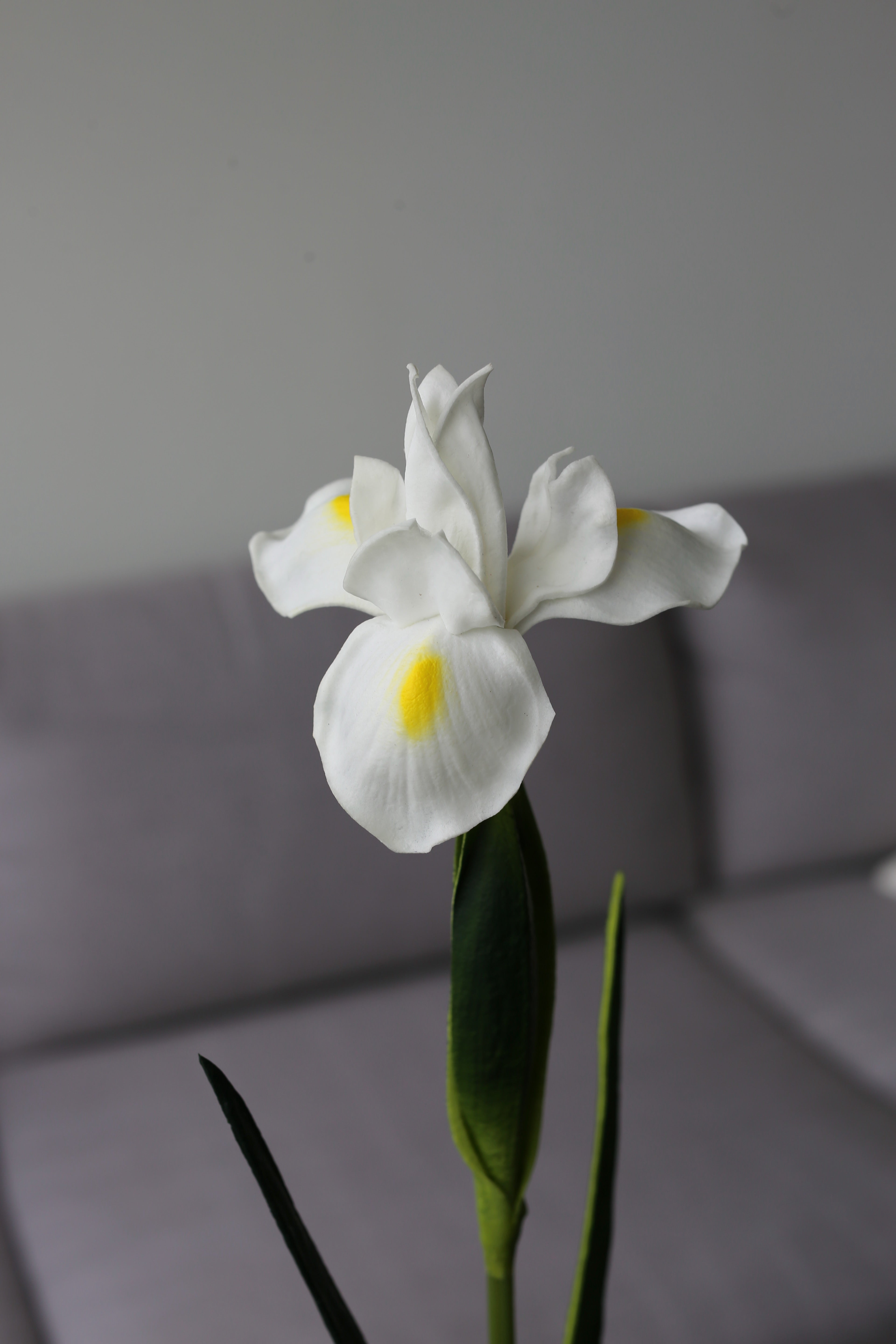Yellow Iris – Premium Real Touch Stem