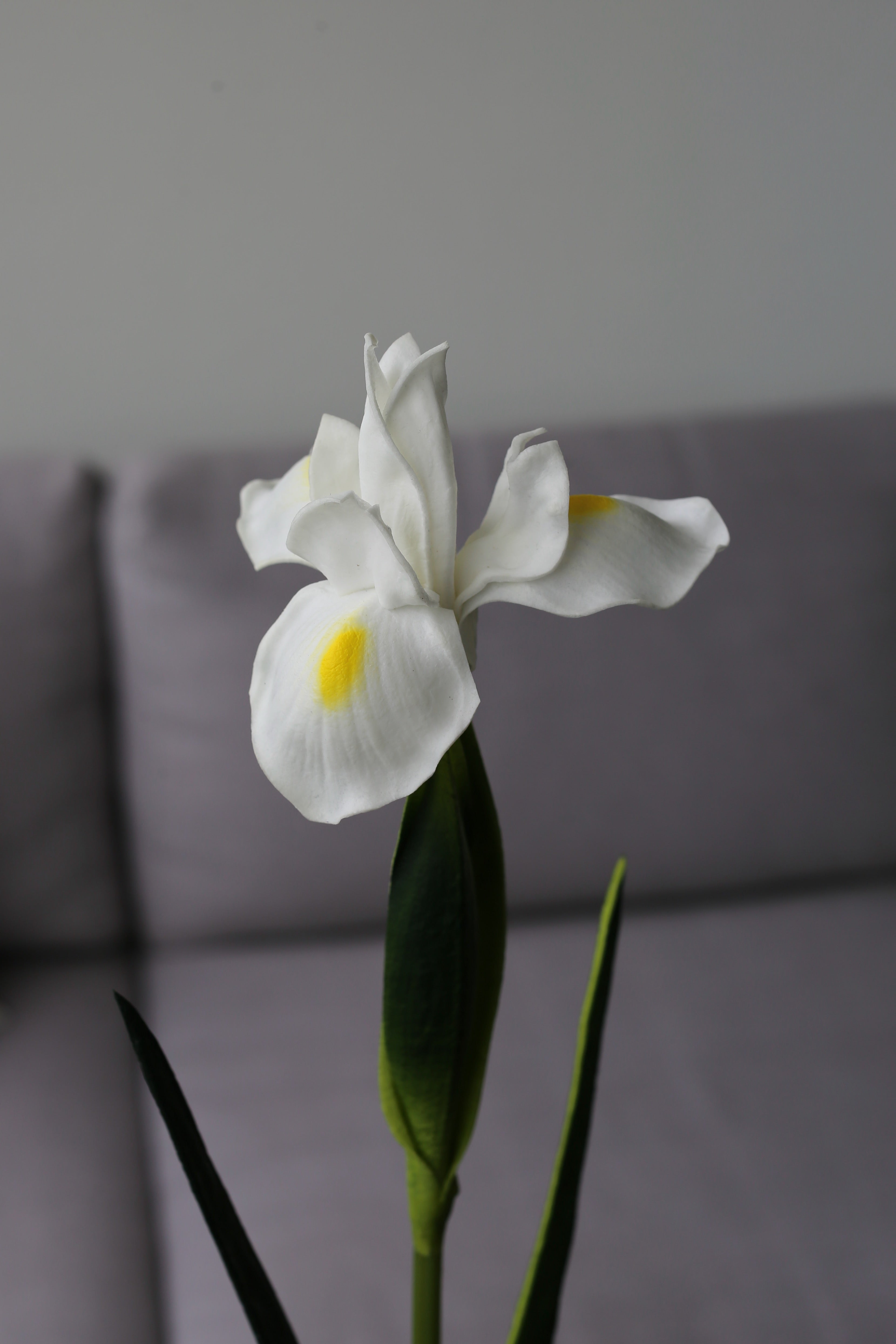 White Iris – Premium Real Touch Stem