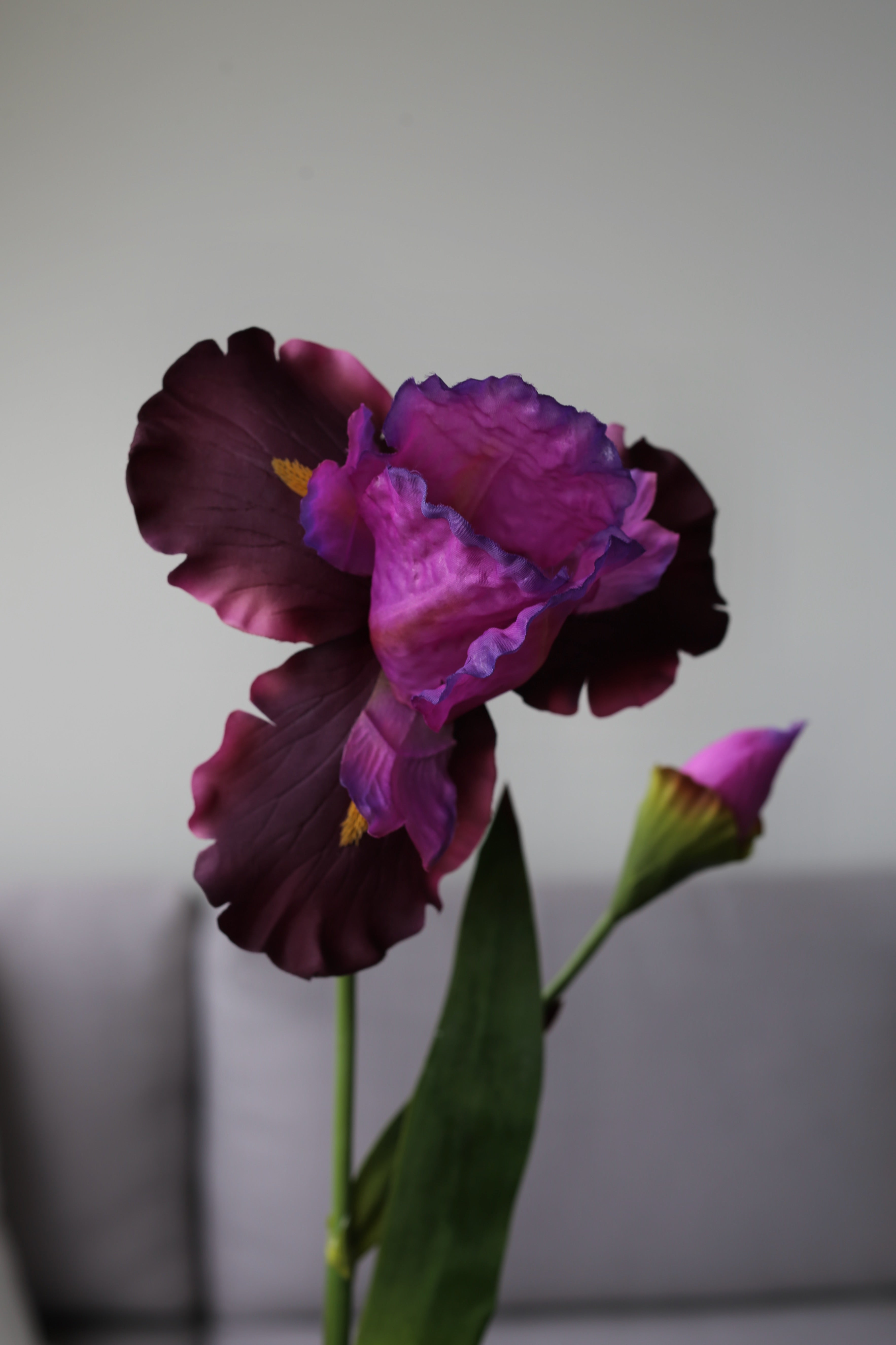 Deep Purple Iris – Luxury Silk Stem
