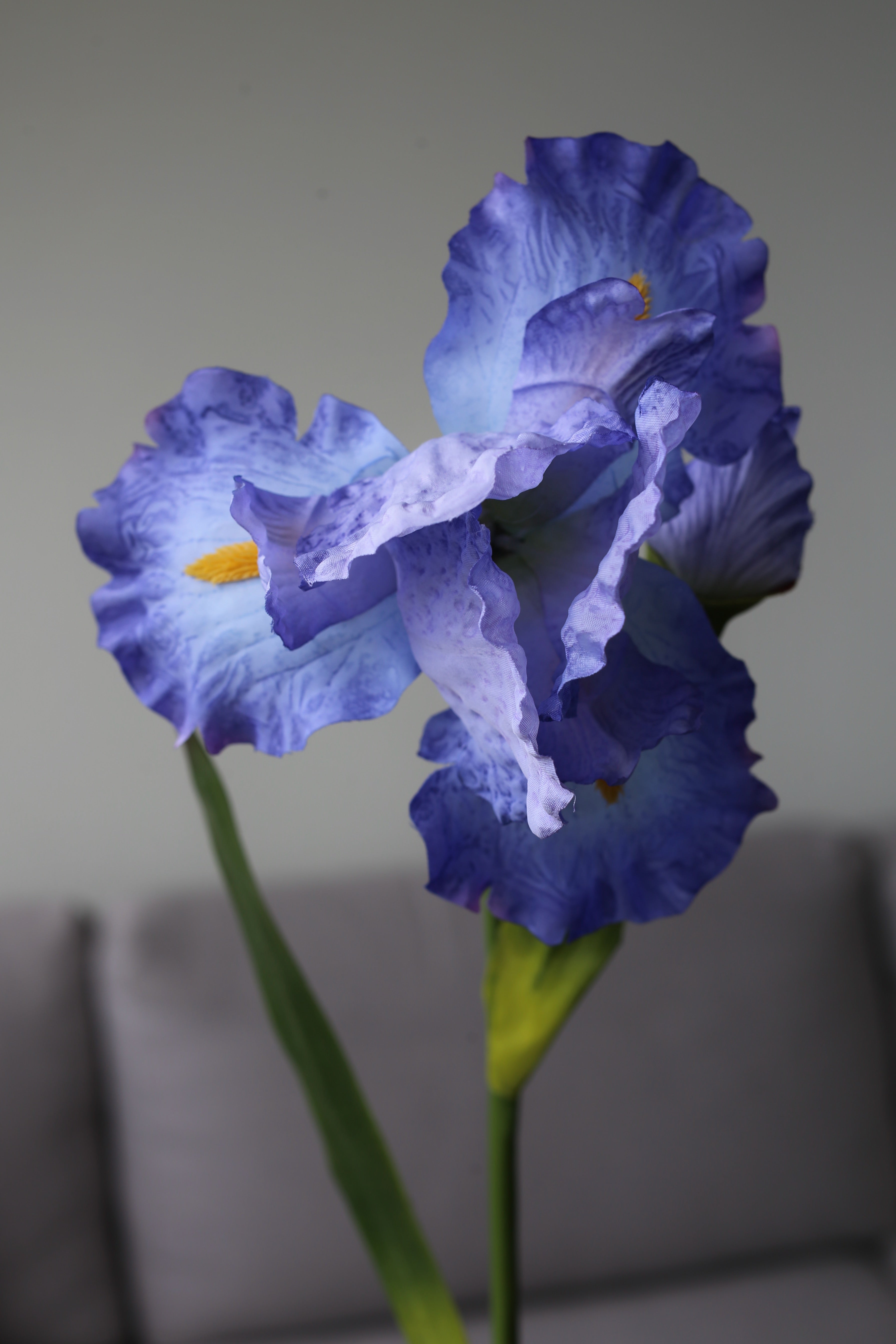 Blue Iris – Luxury Silk Stem