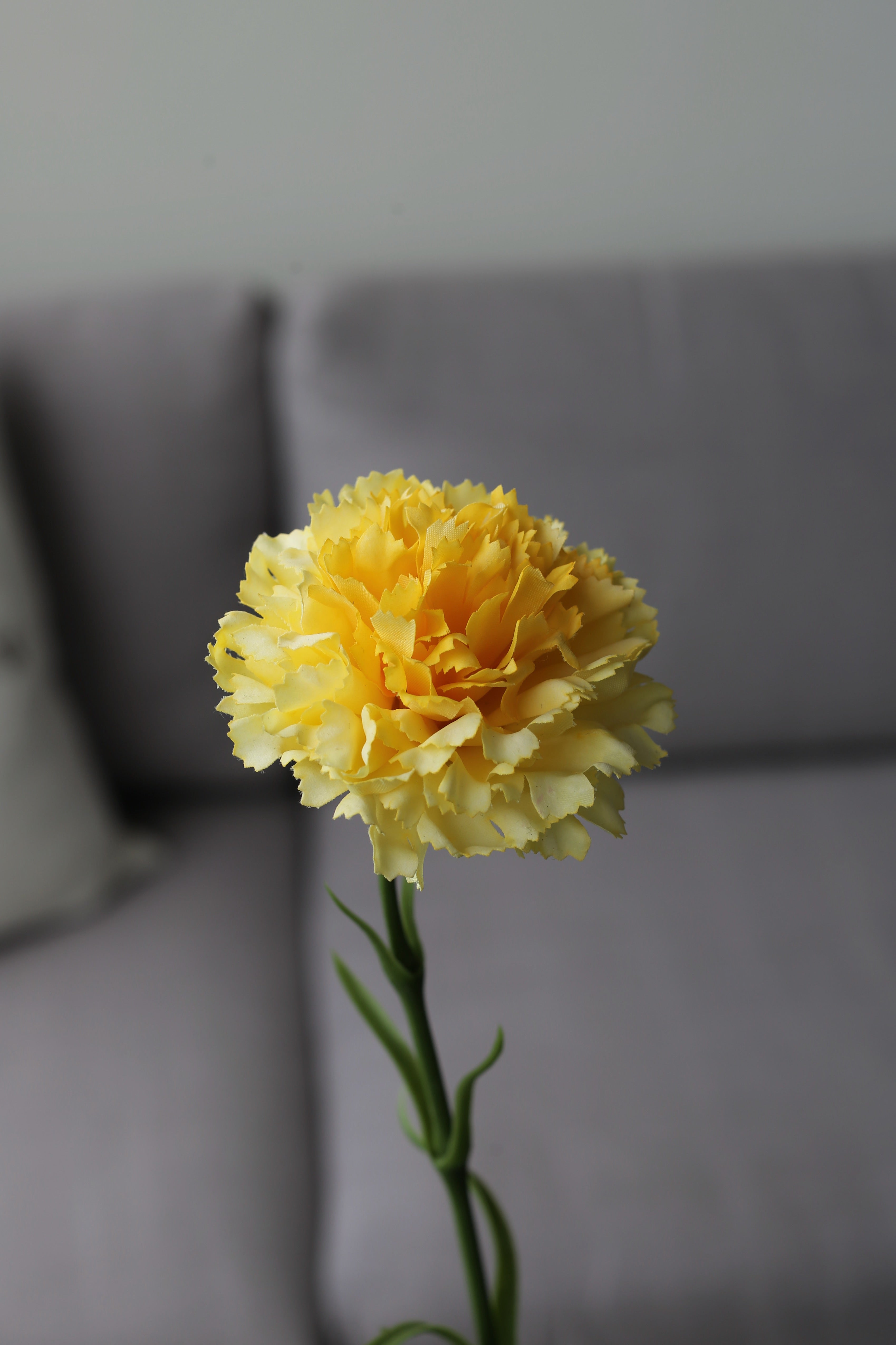 Yellow Carnation – Premium Real Touch Stem