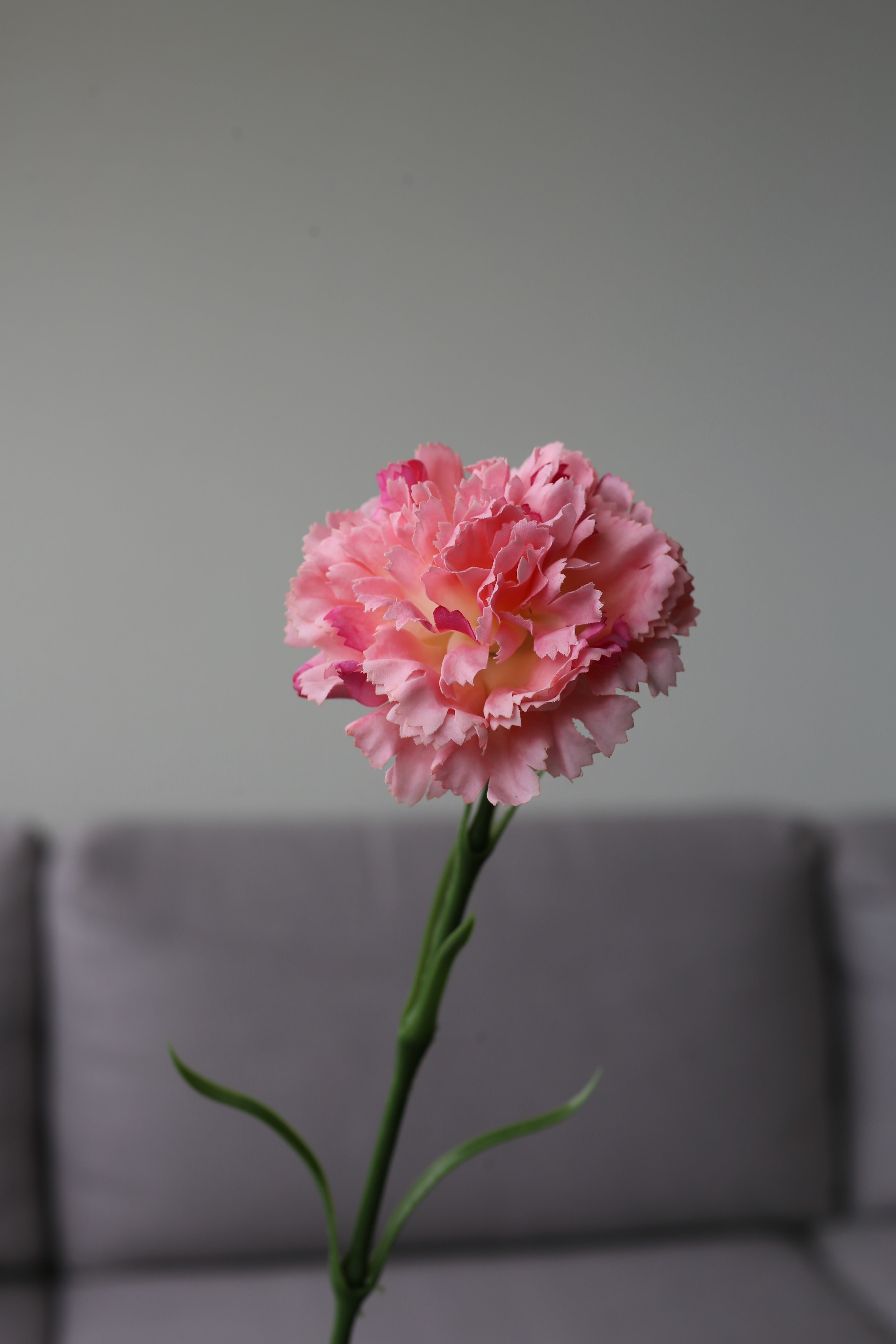 Yellow Carnation – Premium Real Touch Stem