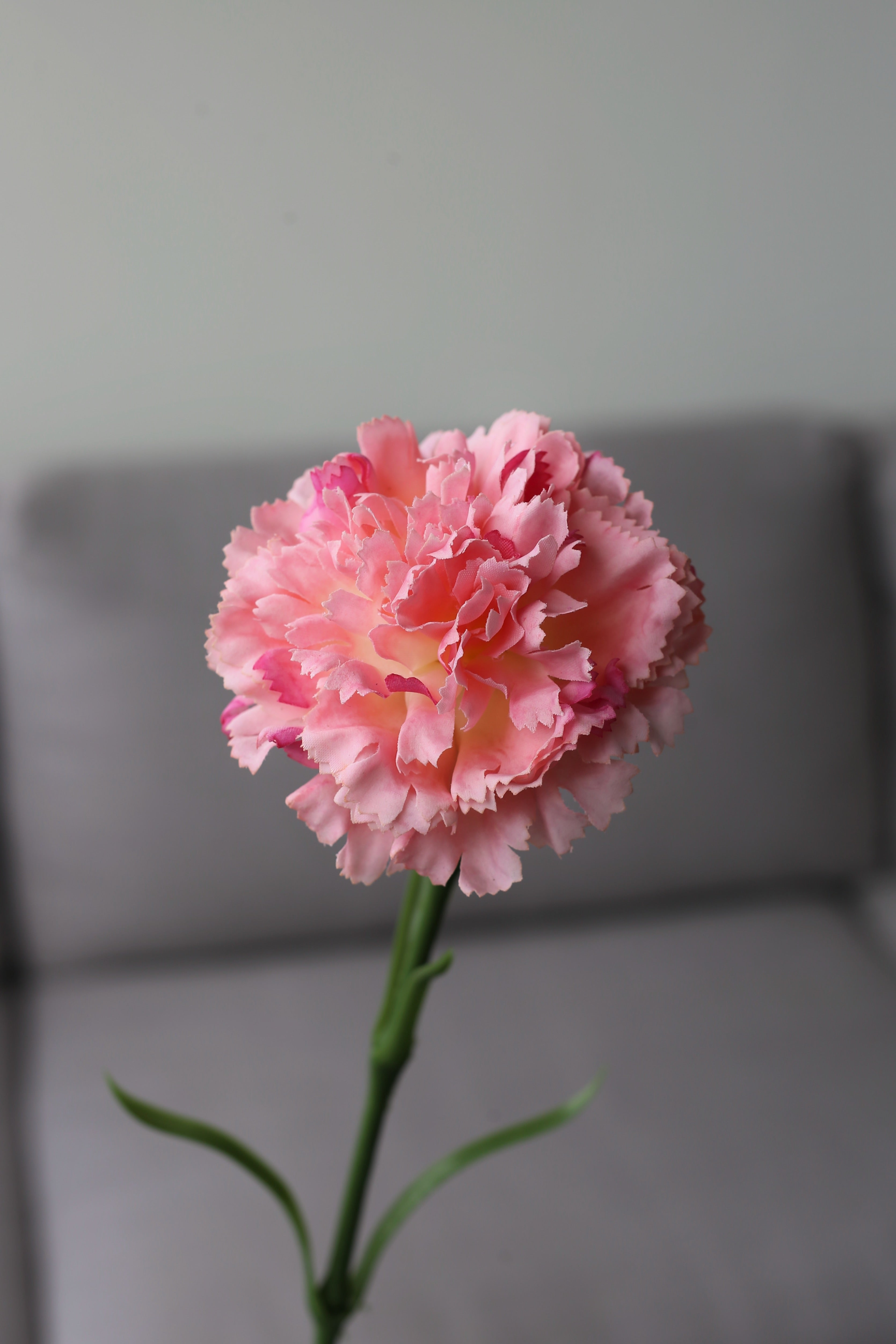 White Carnation – Premium Real Touch Stem