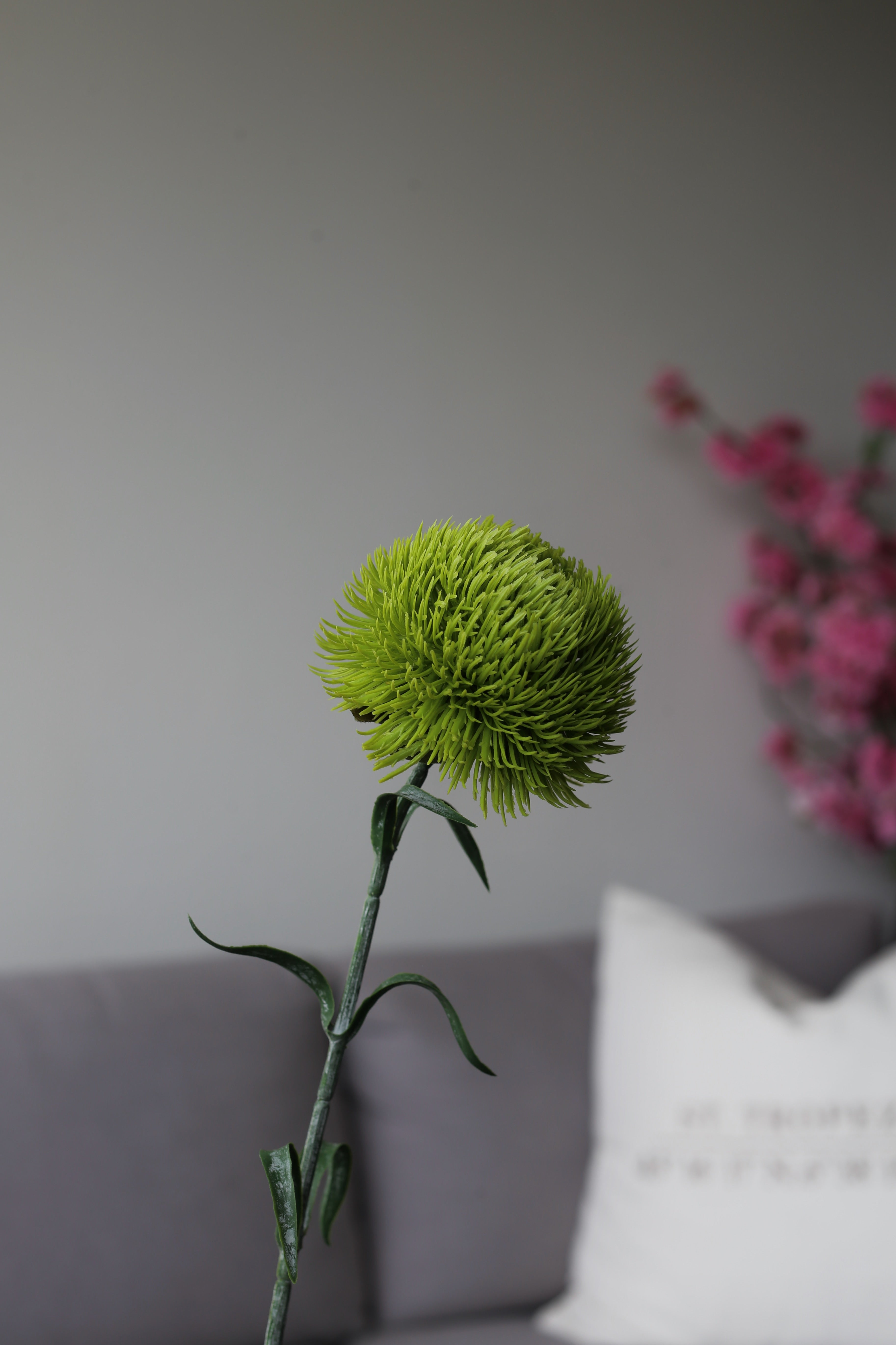 Green Dianthus Trick – Premium Real Touch Stem