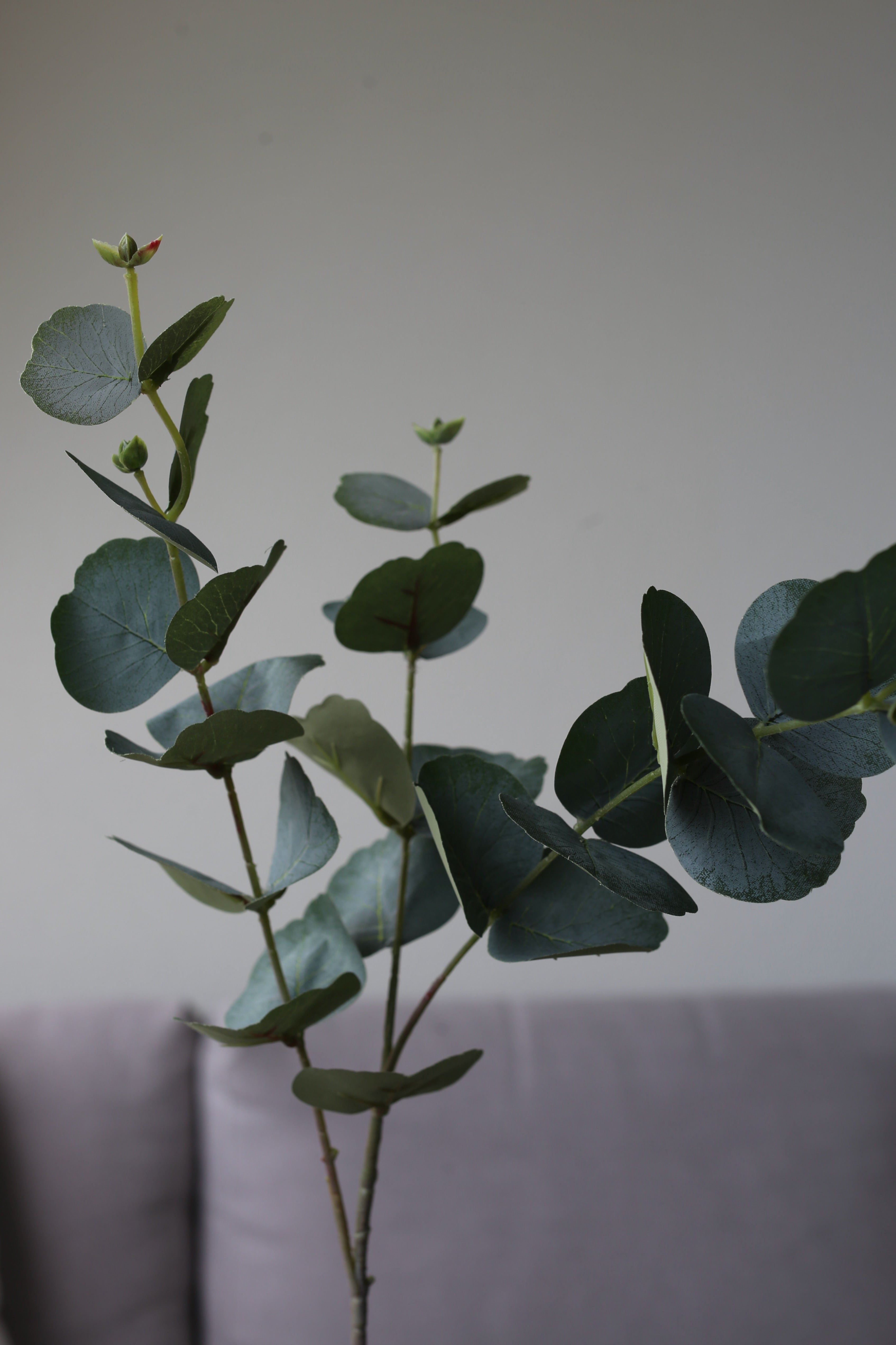 Green Eucalyptus – Luxury Silk Foliage