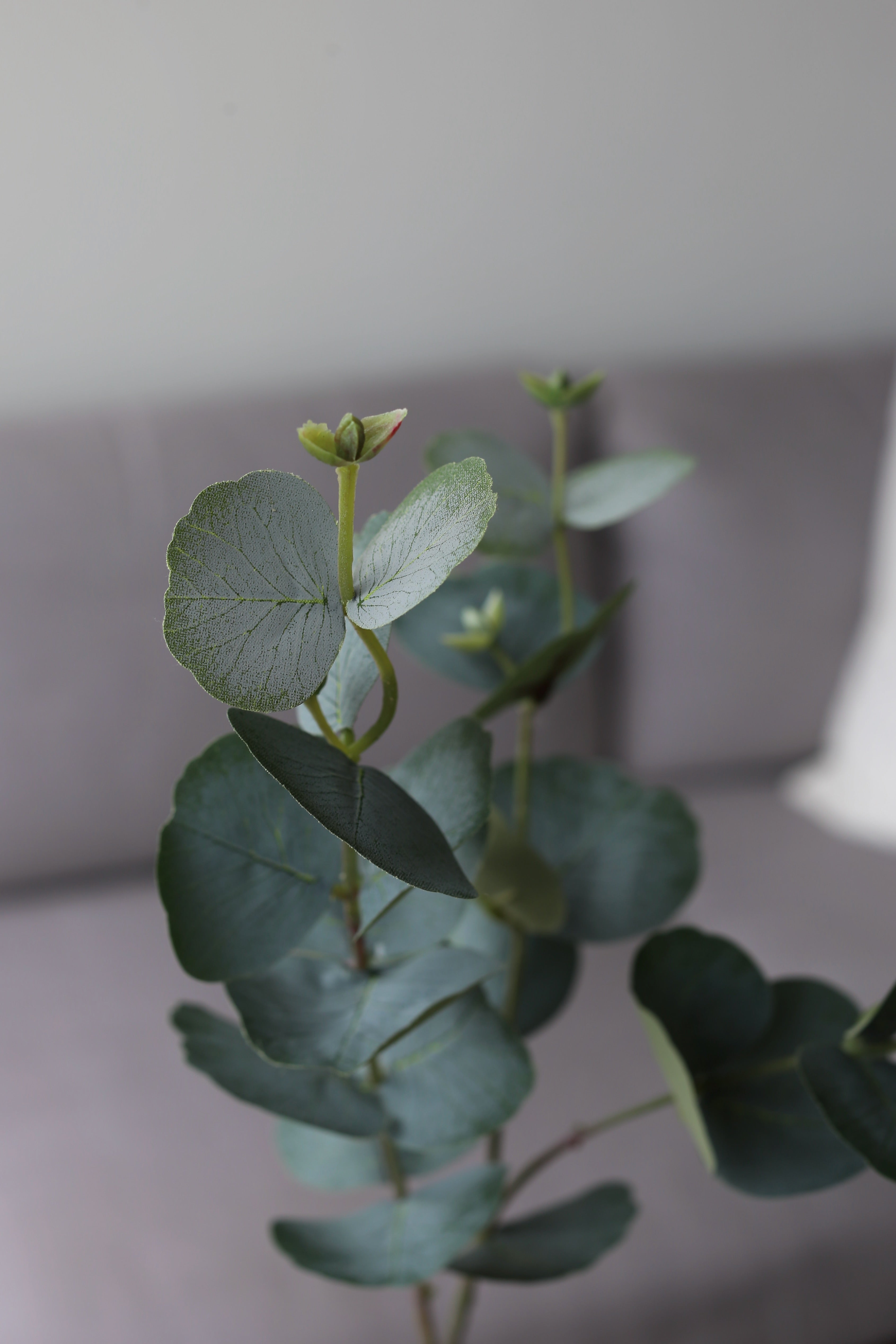 Green Eucalyptus – Luxury Silk Foliage