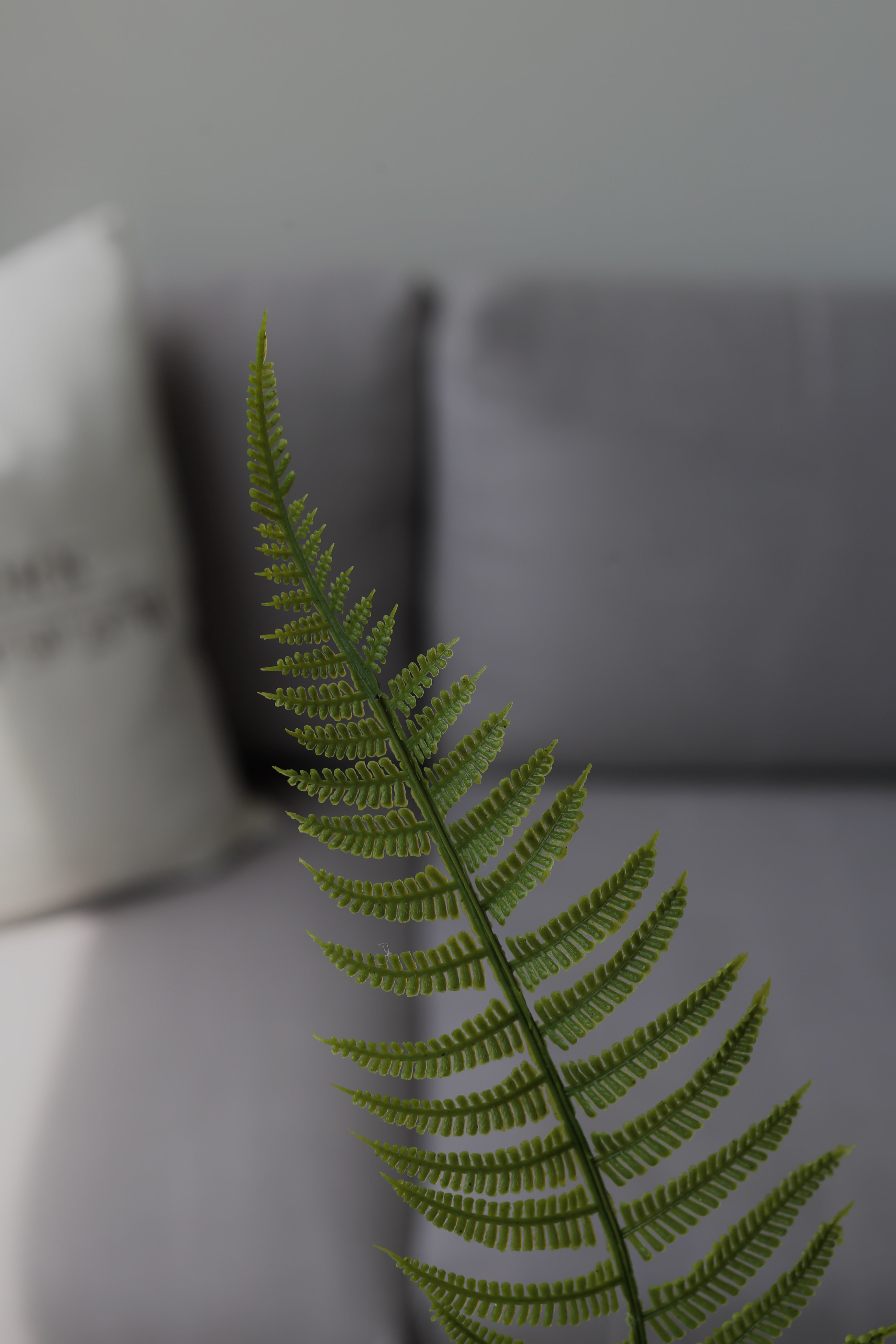 Forest Fern Frond – Premium Real Touch Foliage