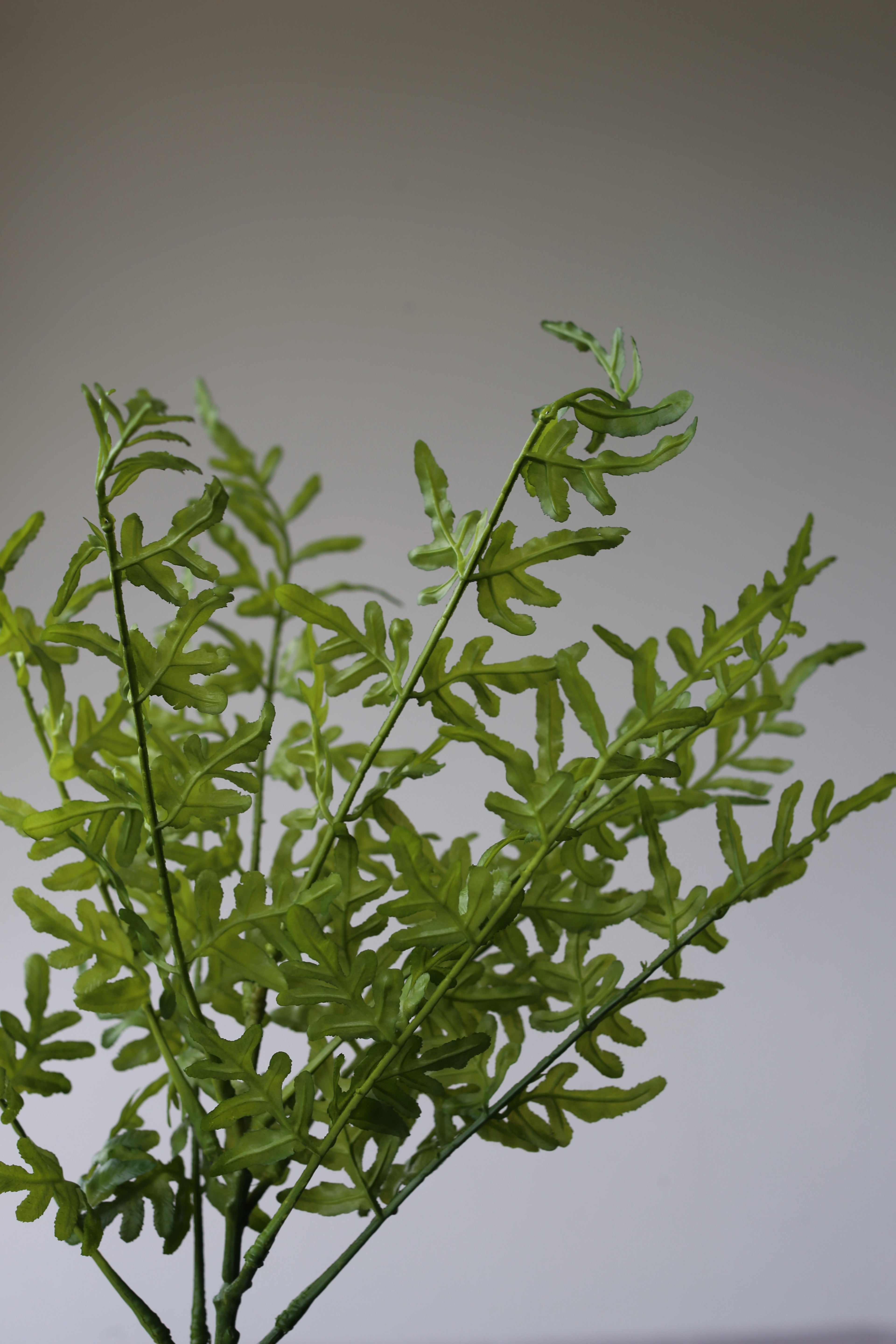 Oak Leaf Fern – Premium Real Touch Foliage