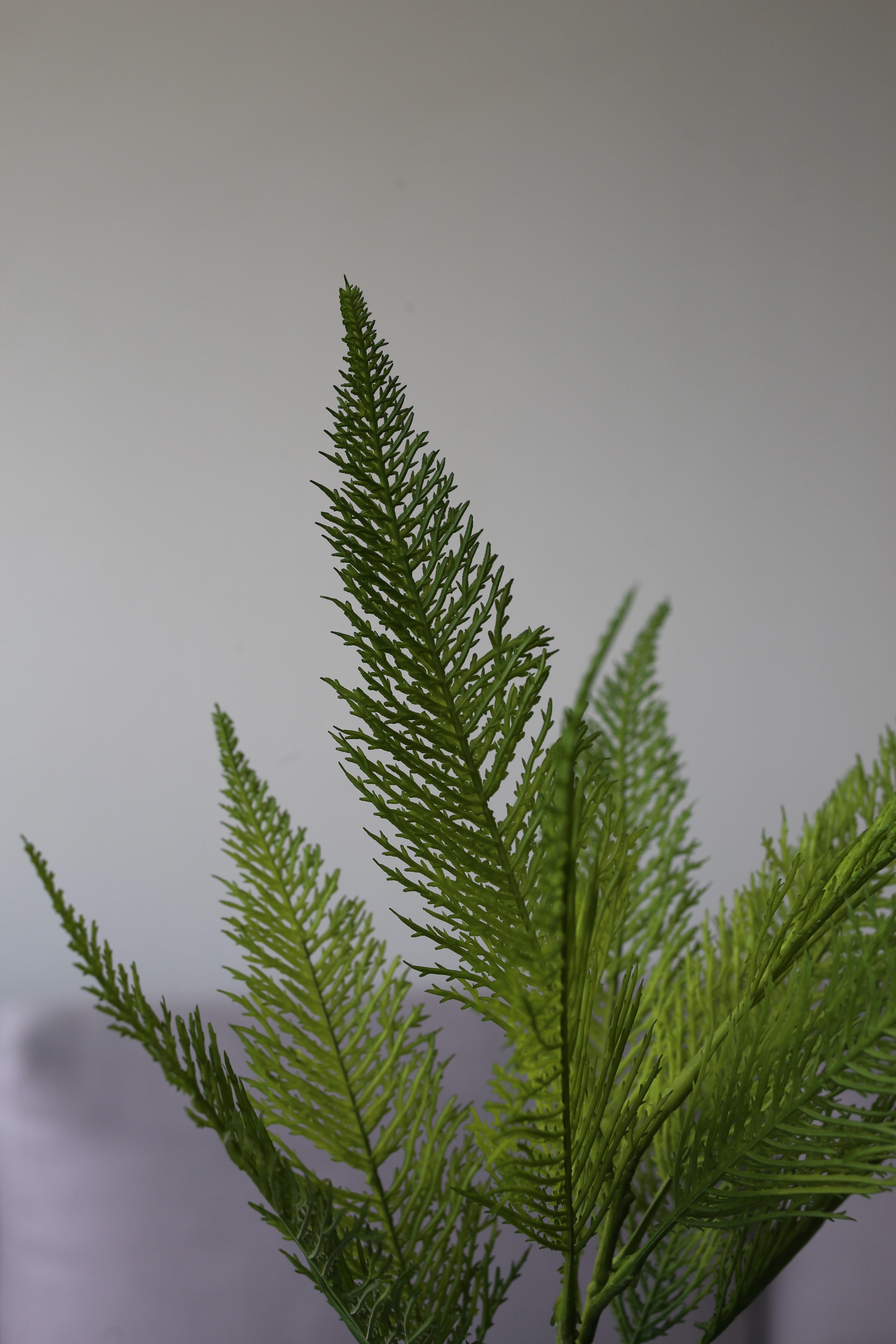 Wild Green Forest Fern – Premium Real Touch Foliage