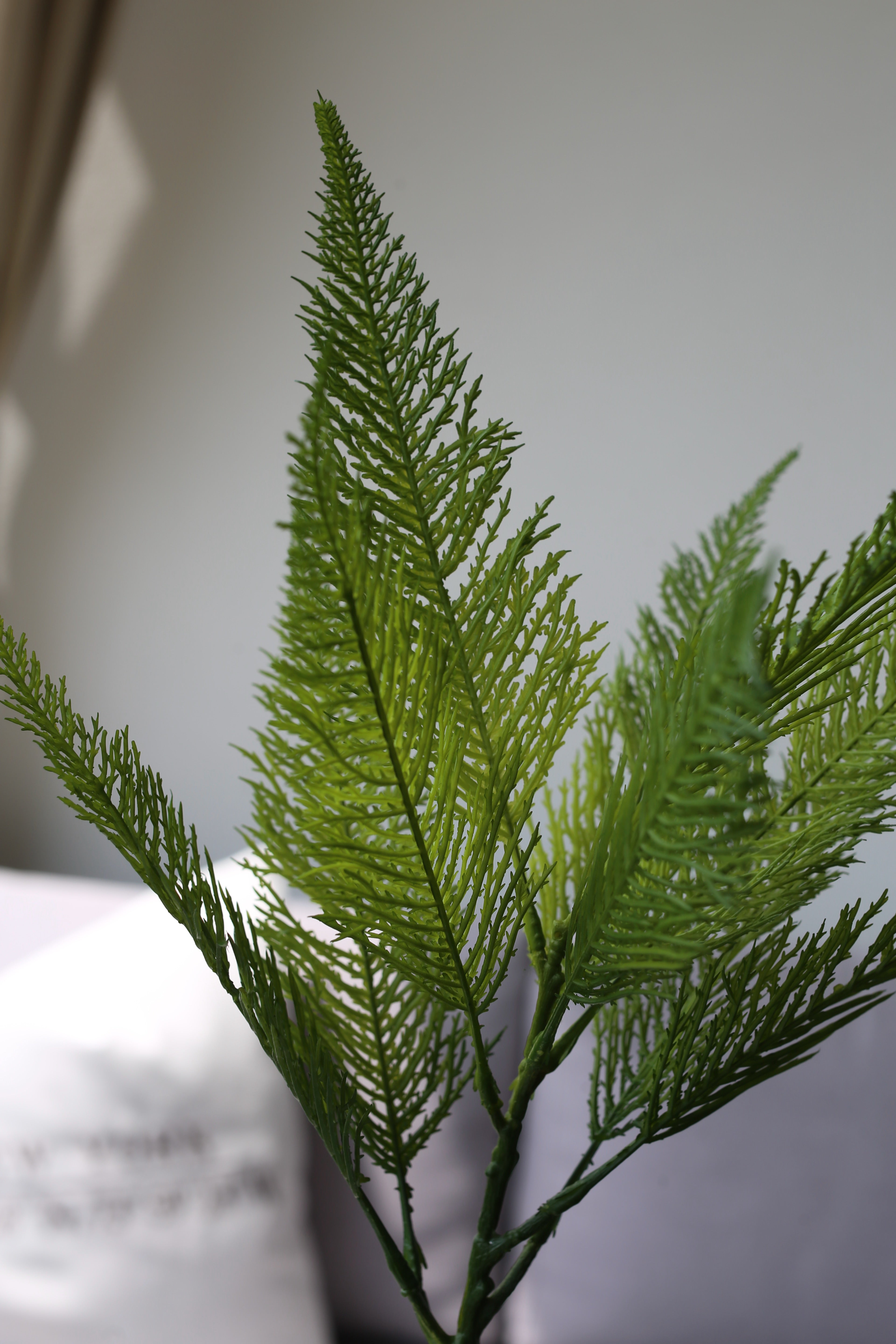 Wild Green Forest Fern – Premium Real Touch Foliage