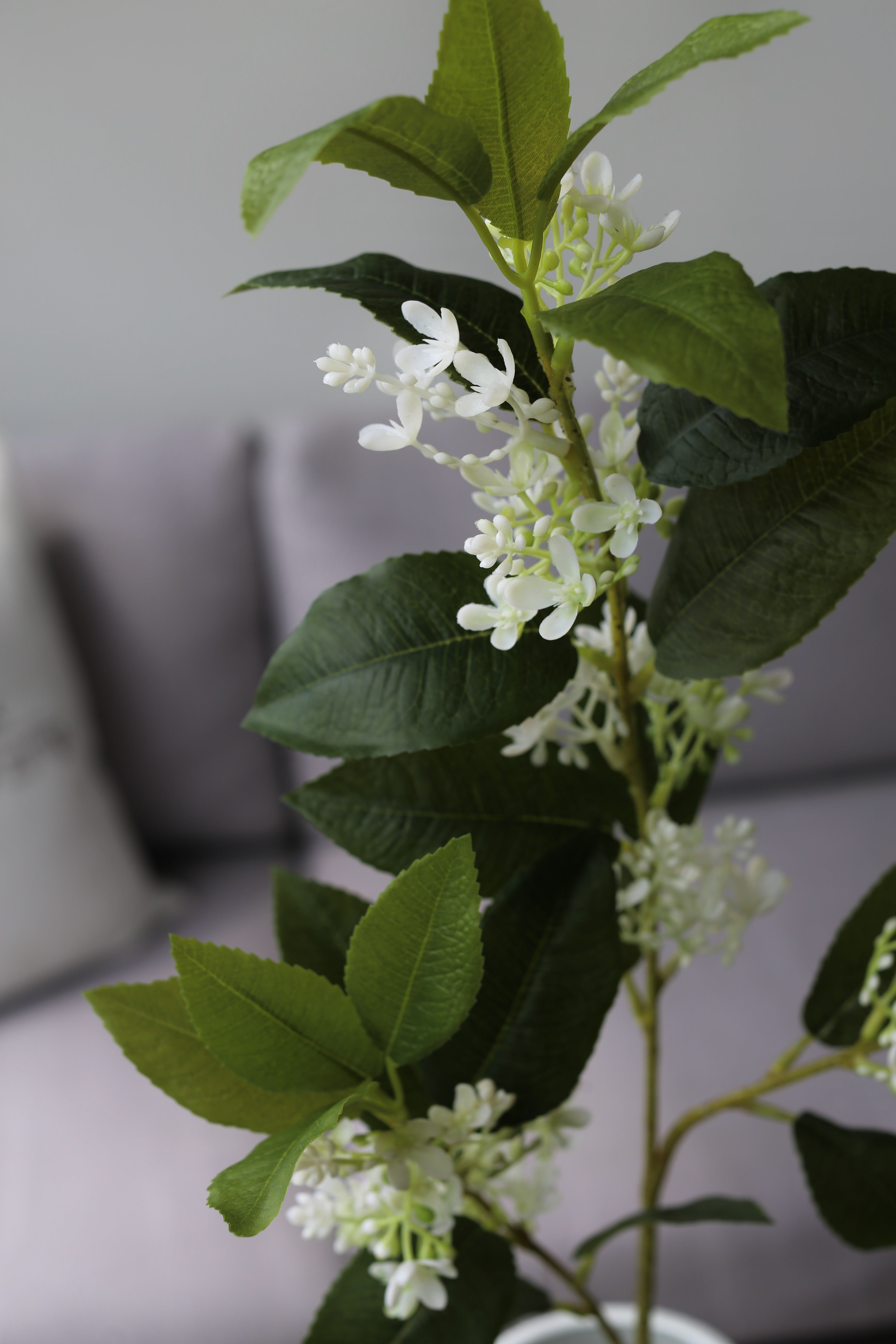 White Sweet Olive Branch – Premium Real Touch Stem