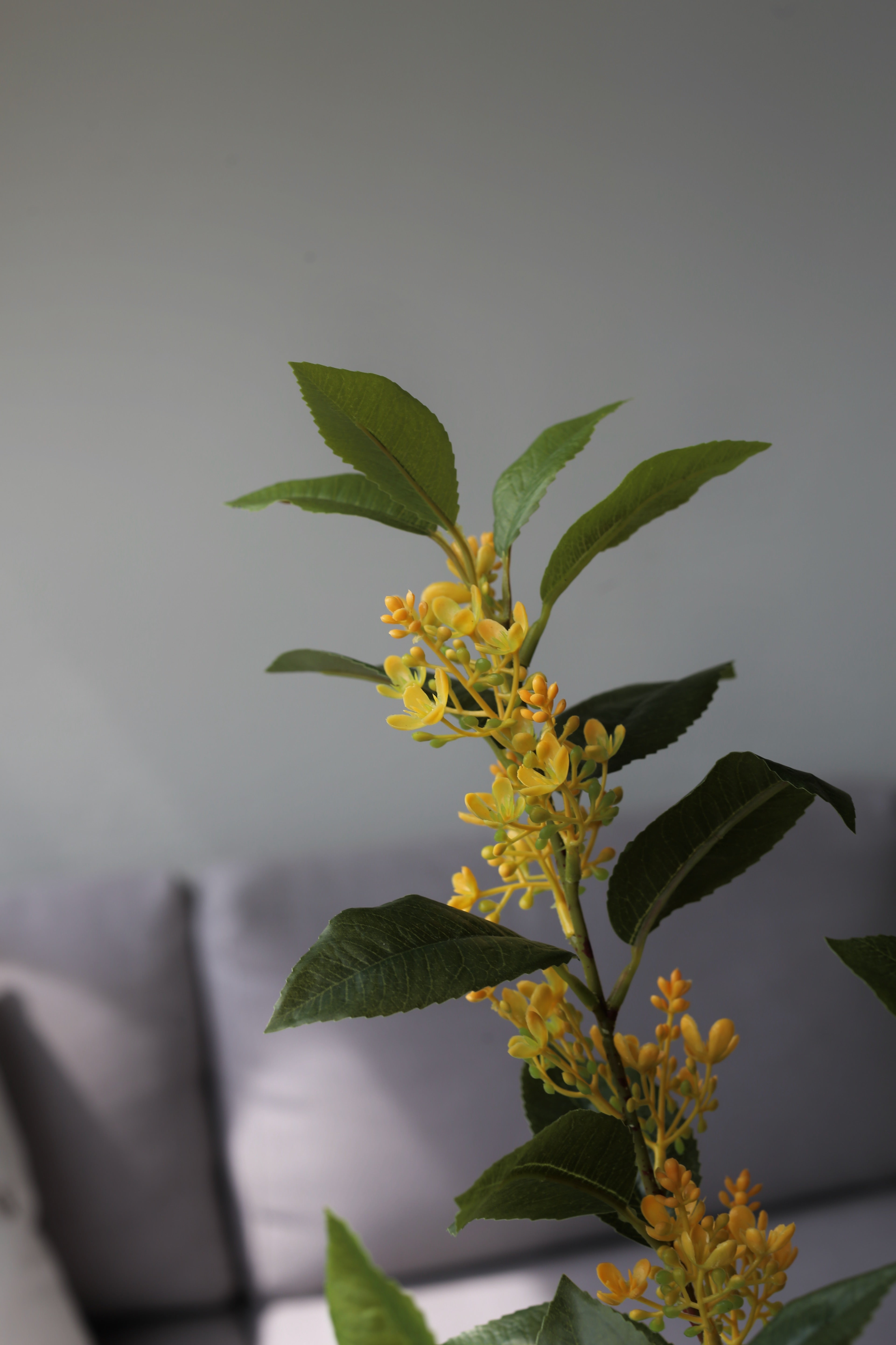 Yellow Sweet Olive Branch – Premium Real Touch Stem