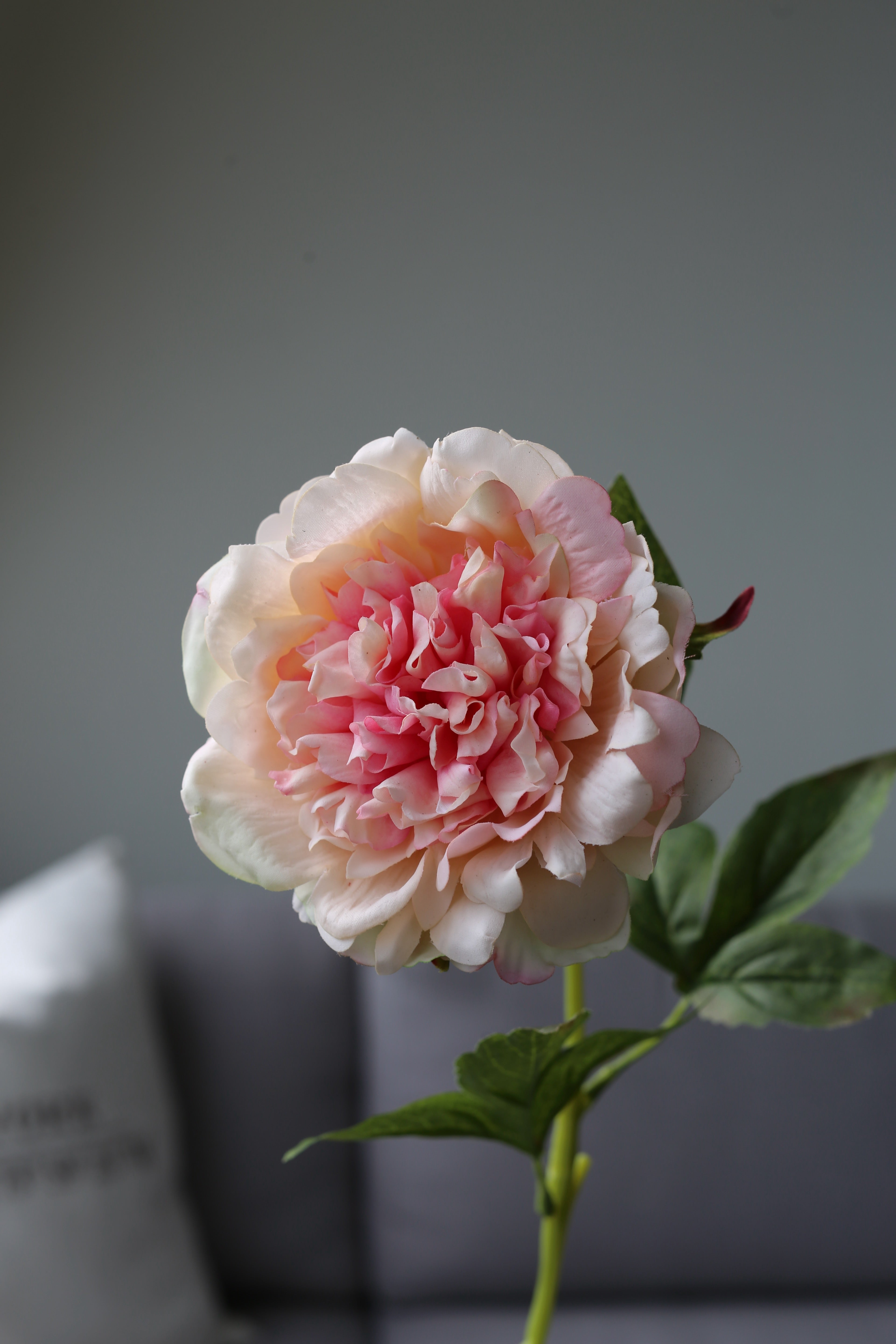 Peach Peony – Premium Real Touch Stem
