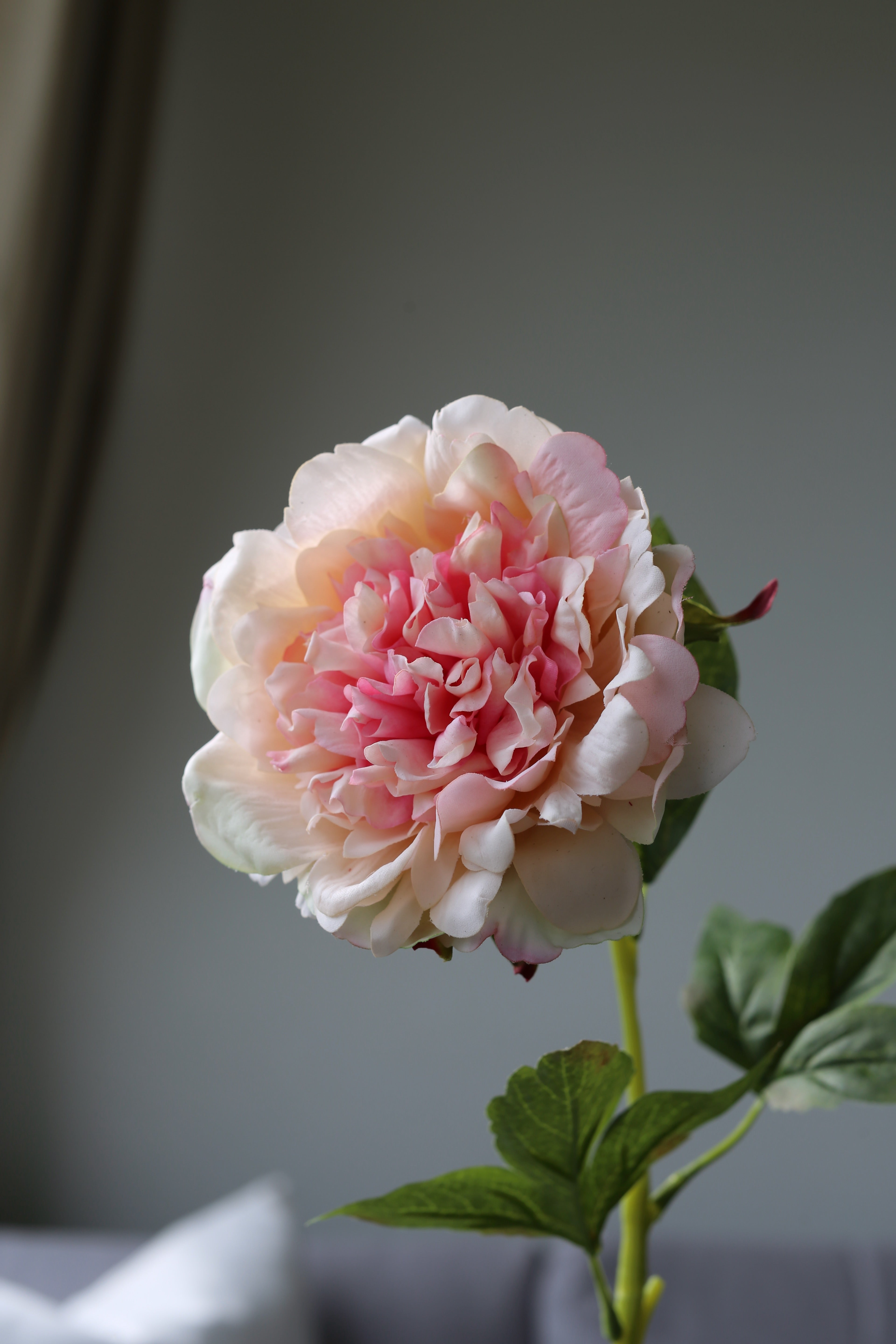 Peach Peony – Premium Real Touch Stem