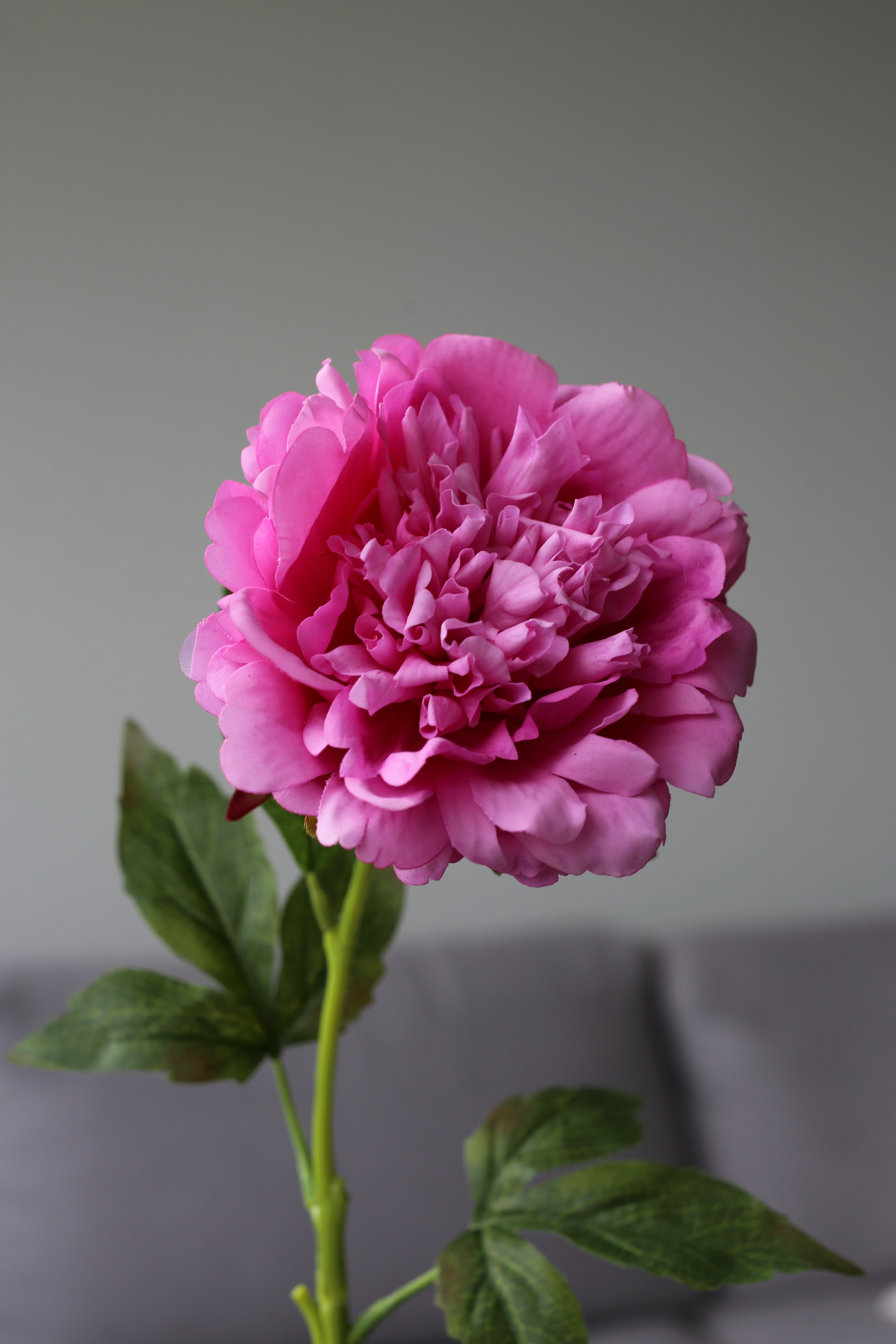 Magenta Peony – Premium Real Touch Stem
