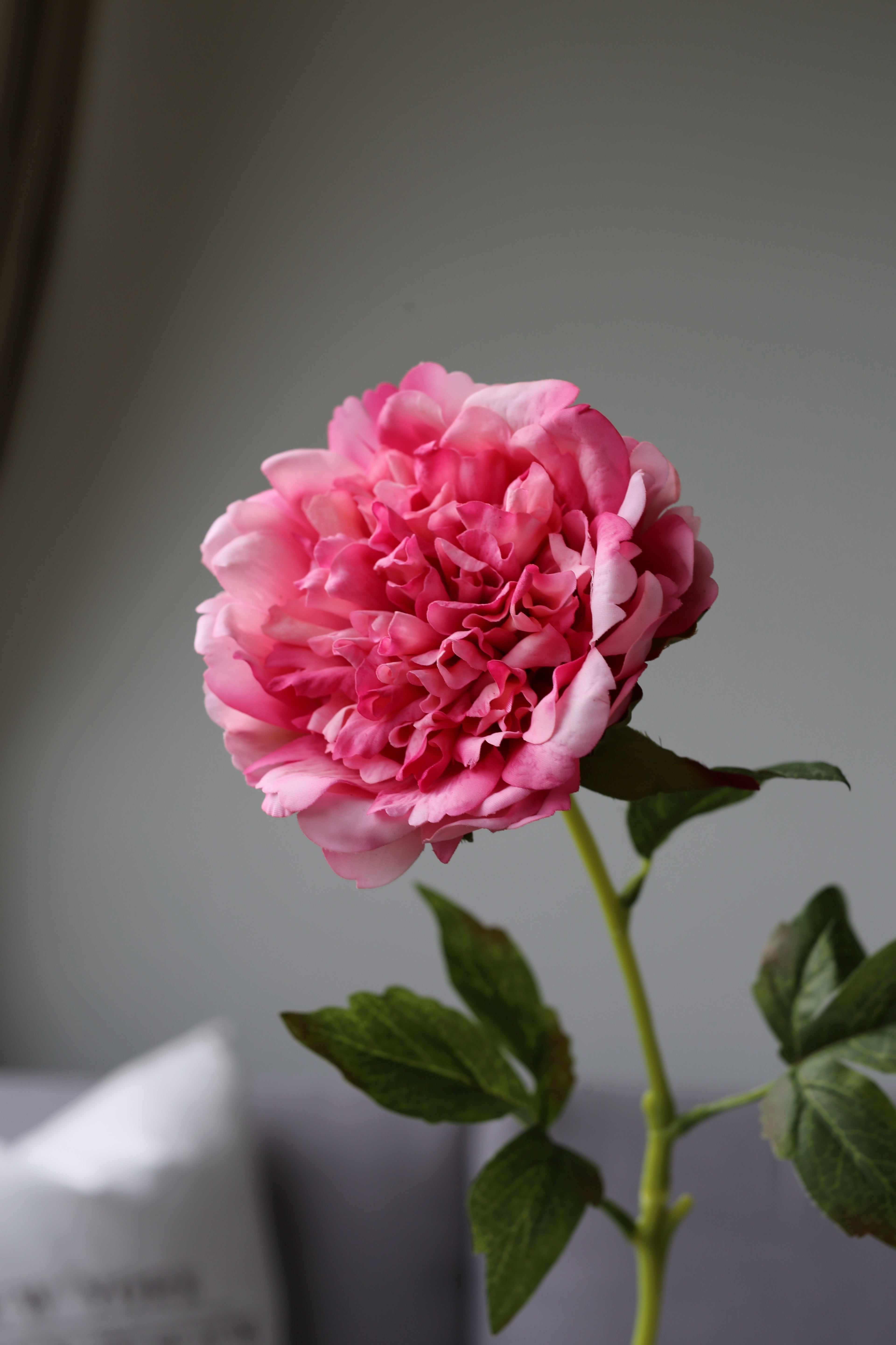 Pink Peony – Premium Real Touch Stem
