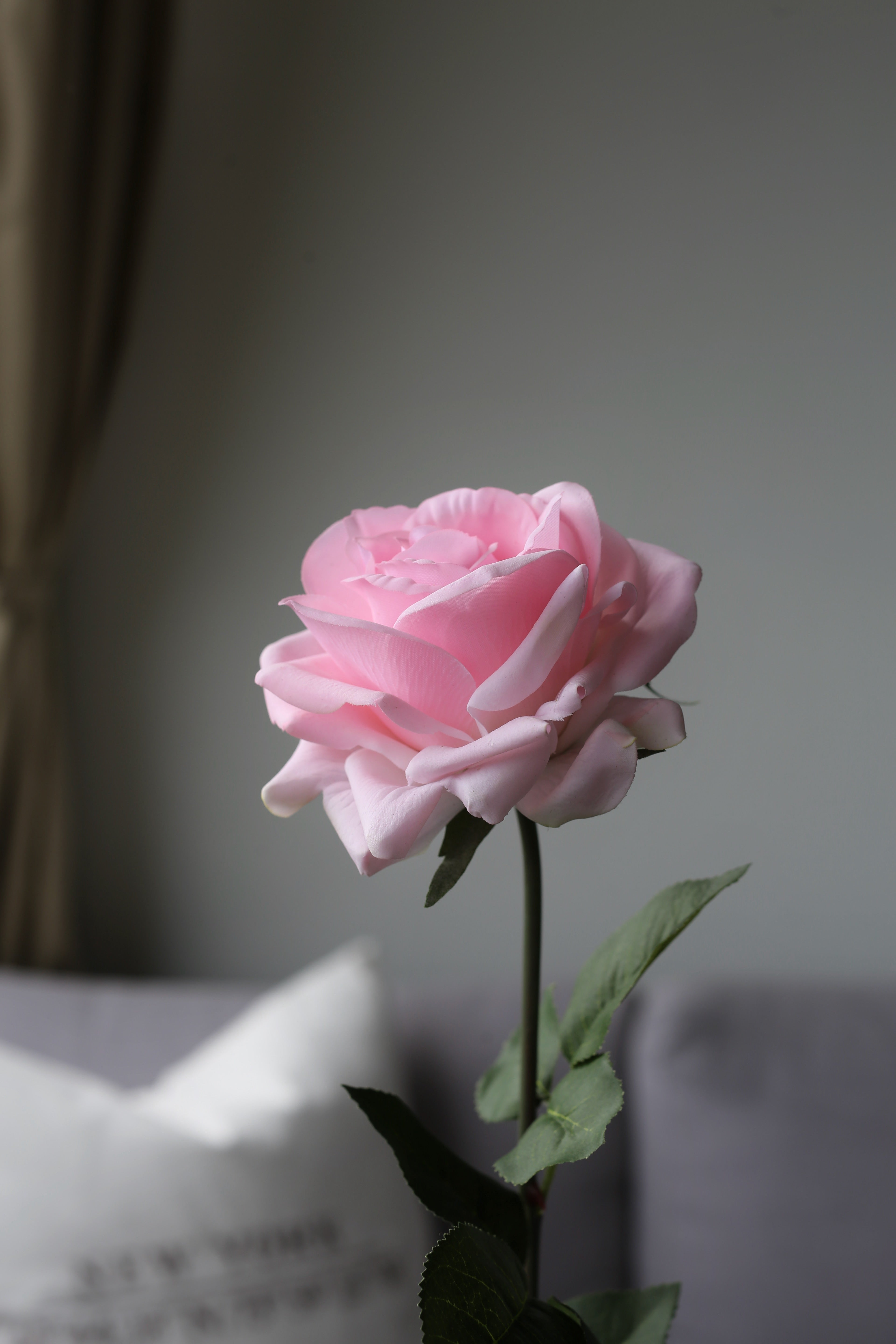 Pink Rose – Premium Real Touch Stem