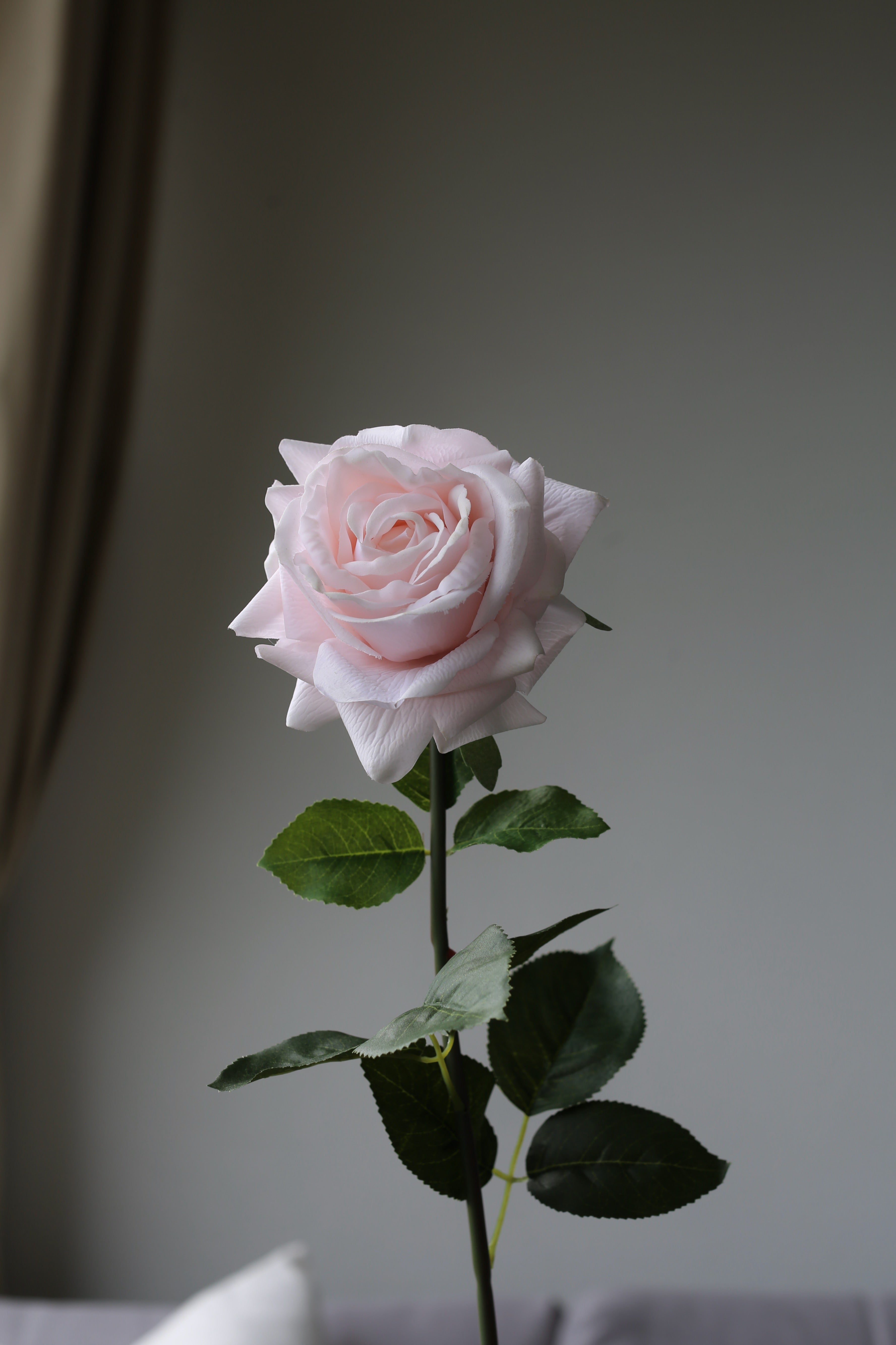 Light Pink Rose – Premium Real Touch Stem