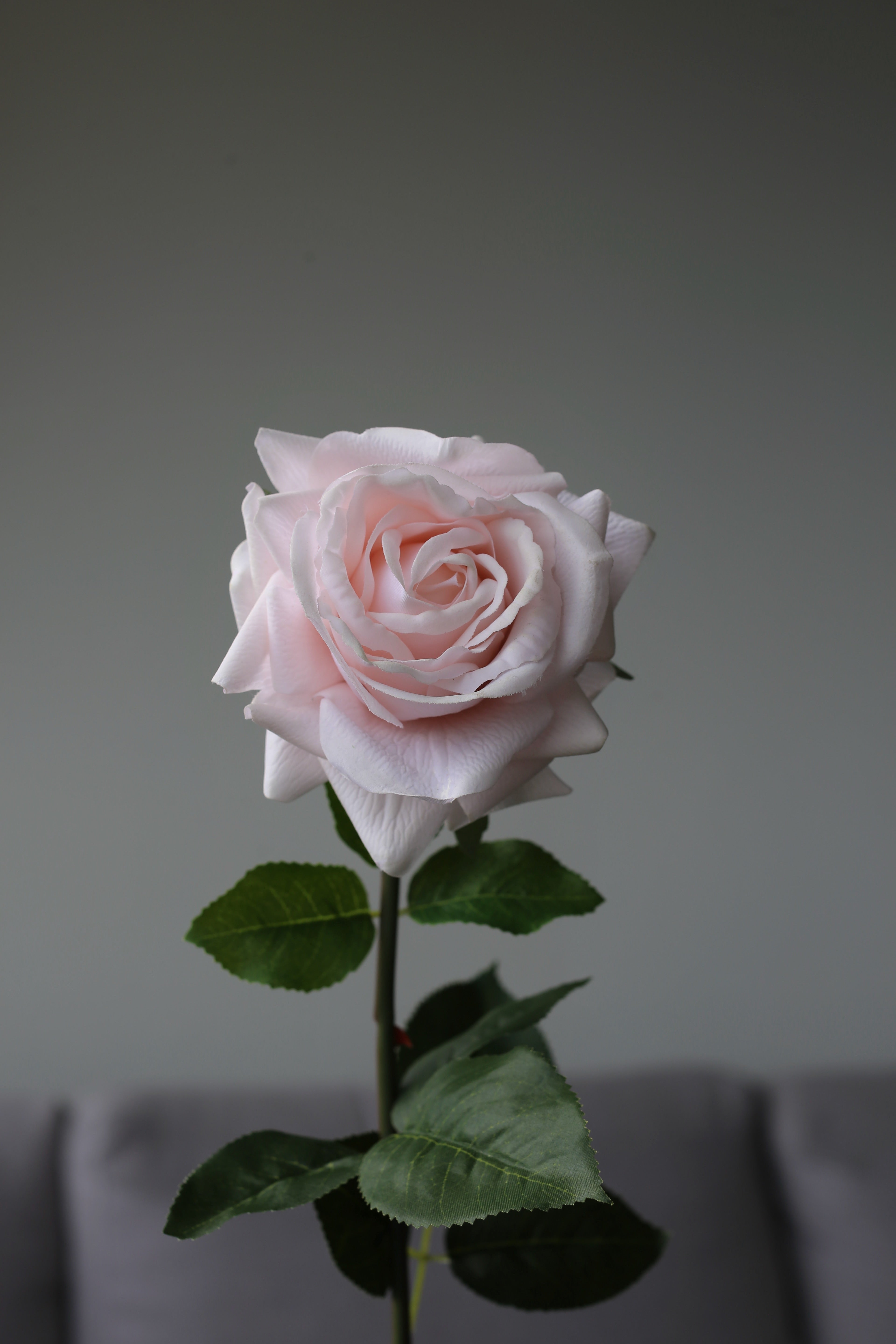Light Pink Rose – Premium Real Touch Stem