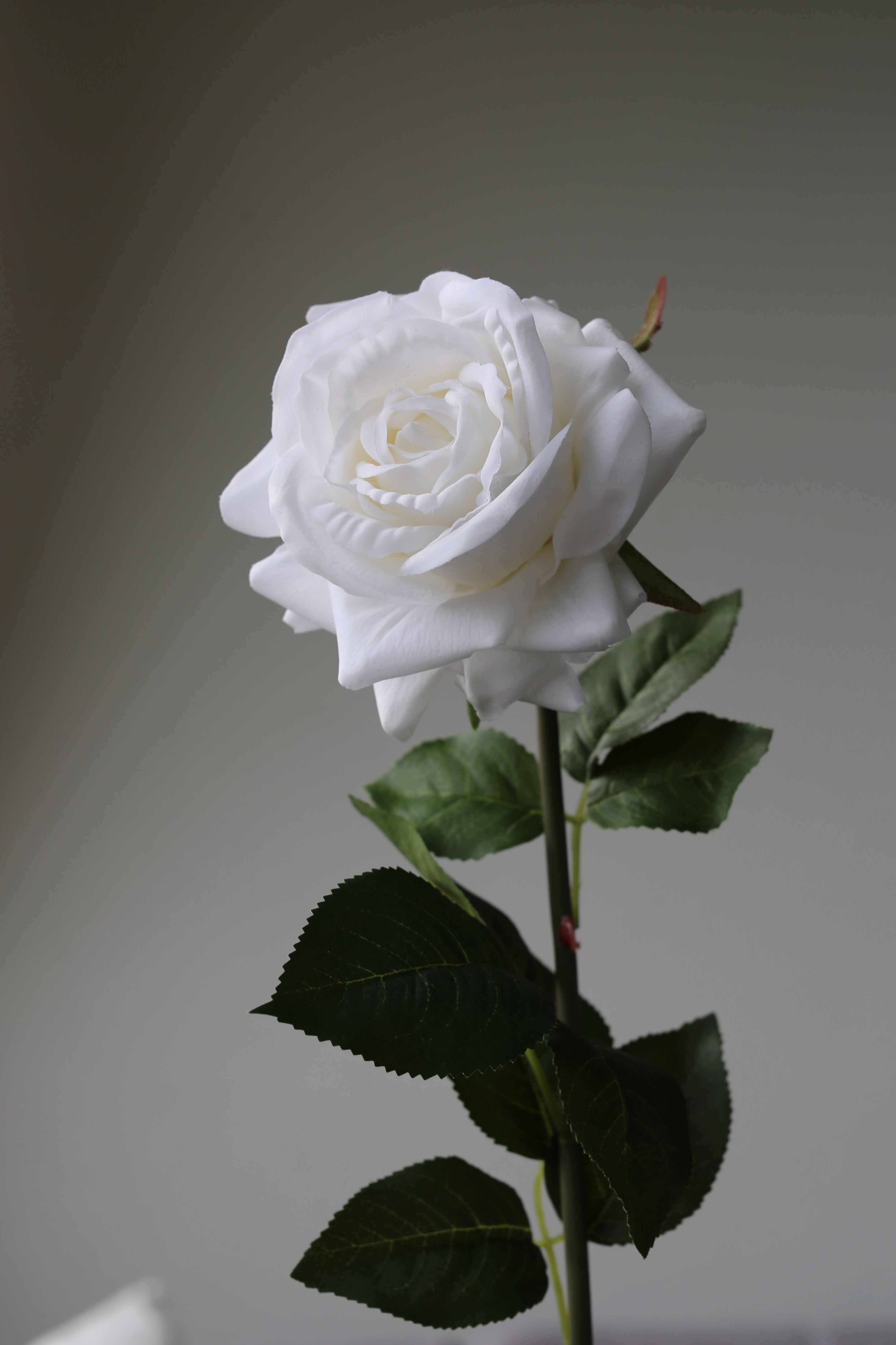 White Rose – Premium Real Touch Stem