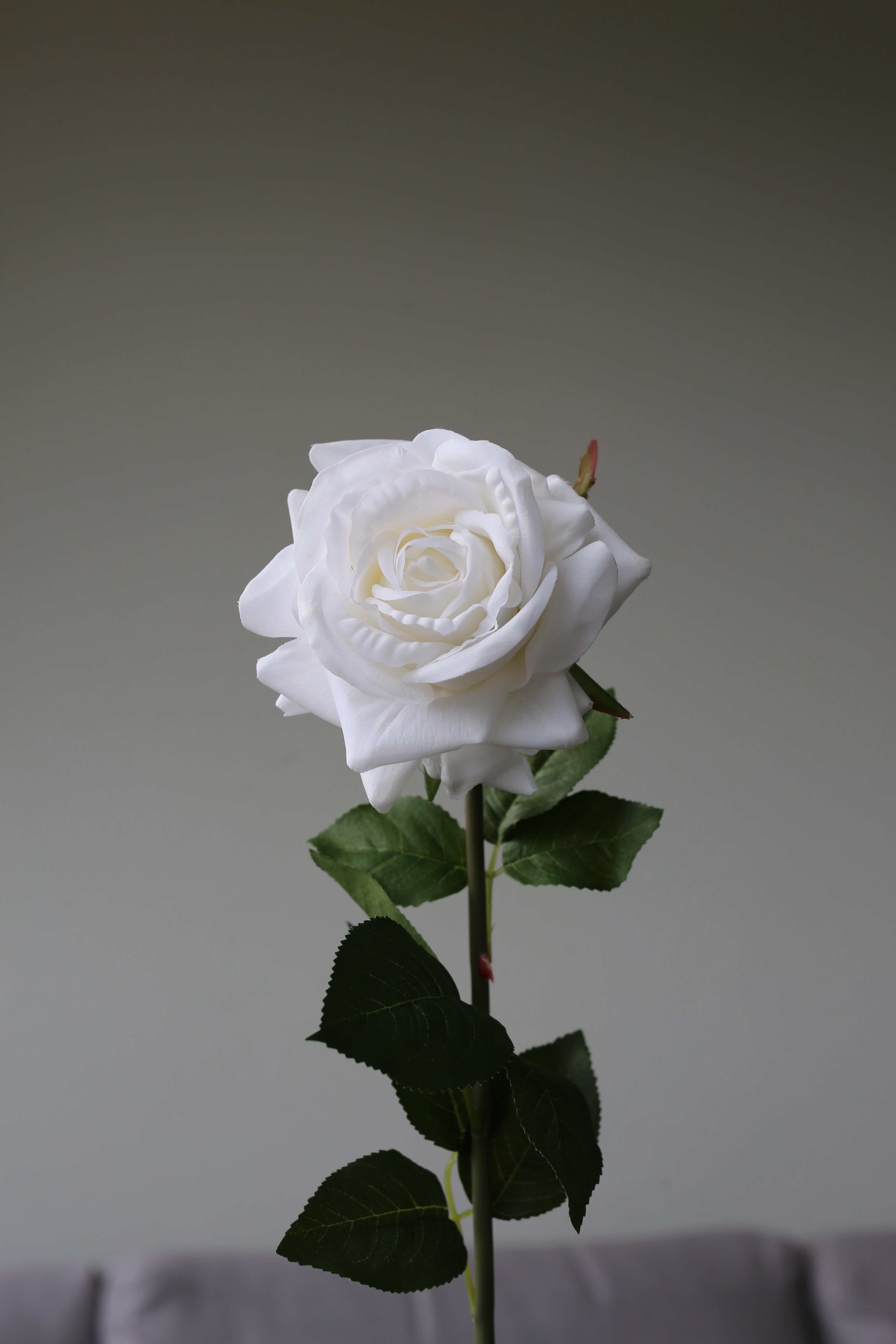 White Rose – Premium Real Touch Stem