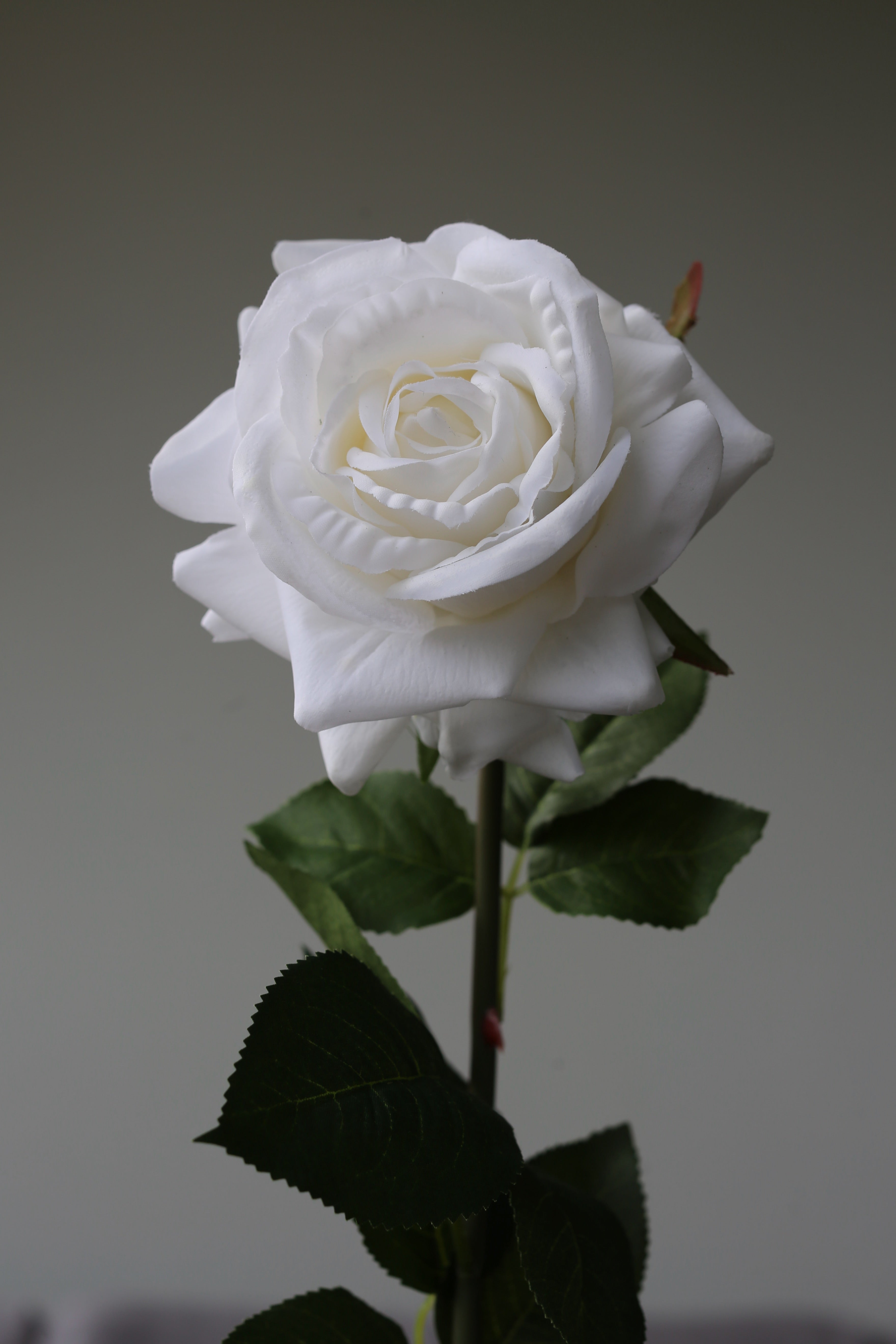 White Rose – Premium Real Touch Stem