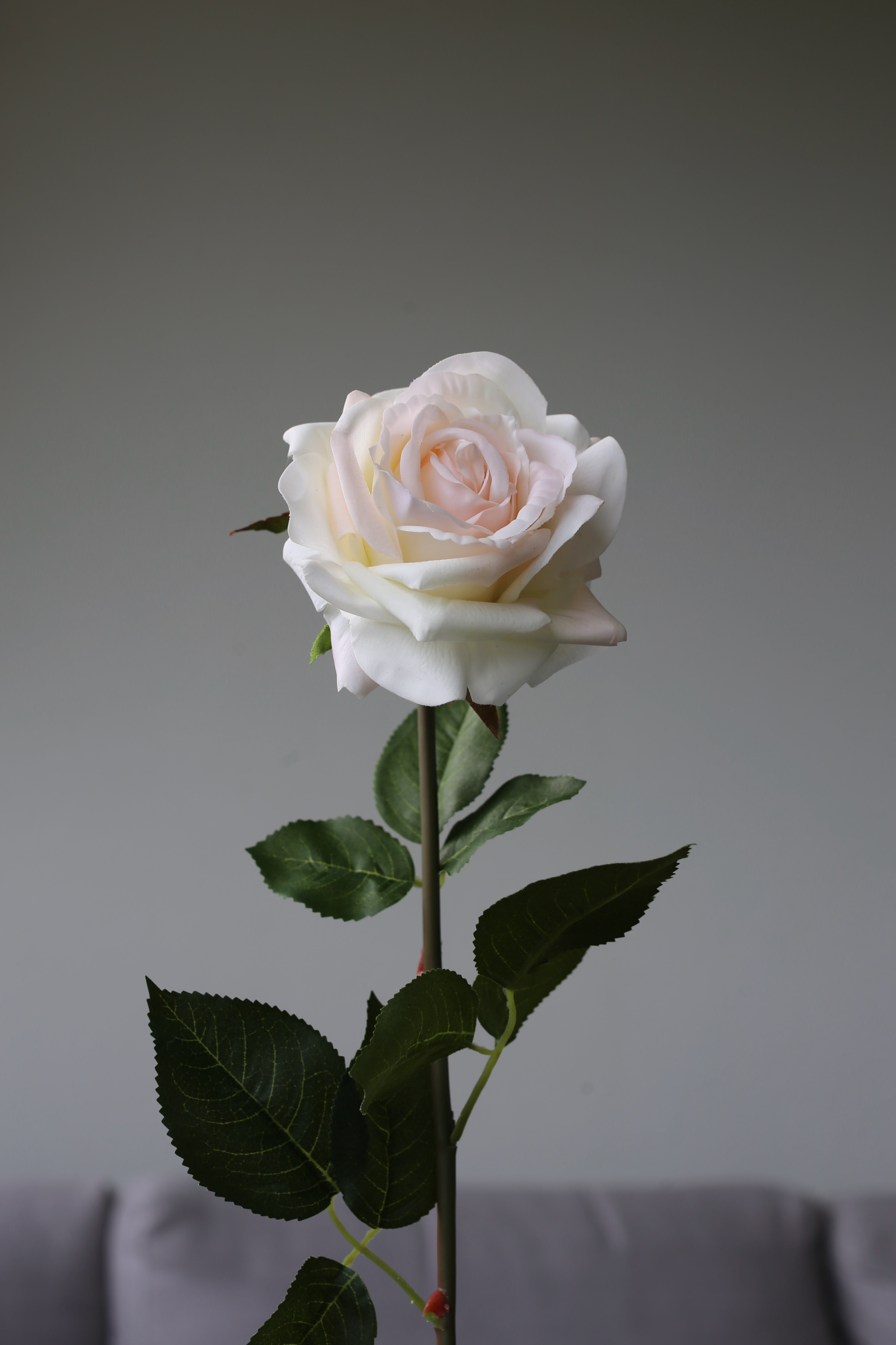 Peach Rose – Premium Real Touch Stem