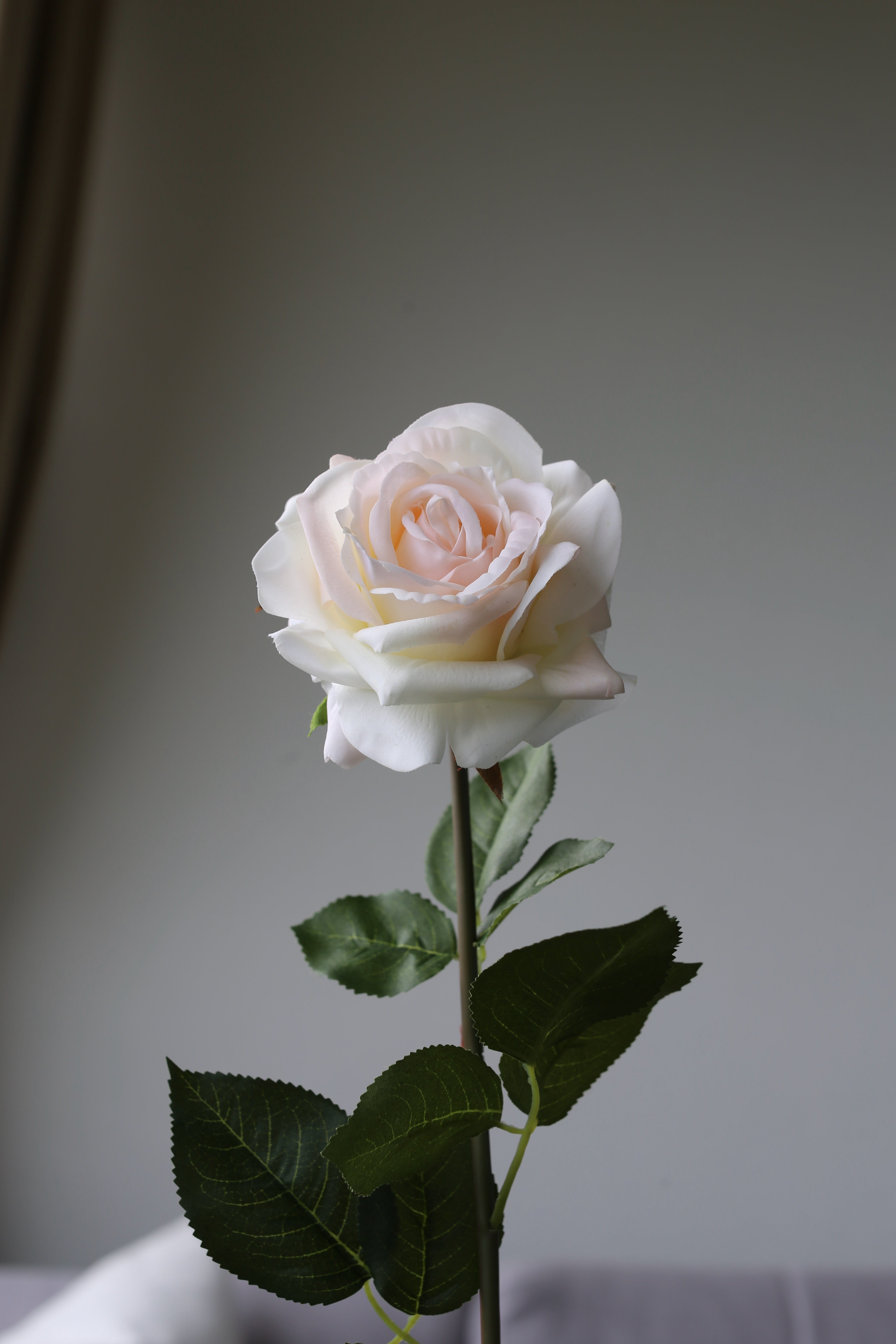 Peach Rose – Premium Real Touch Stem