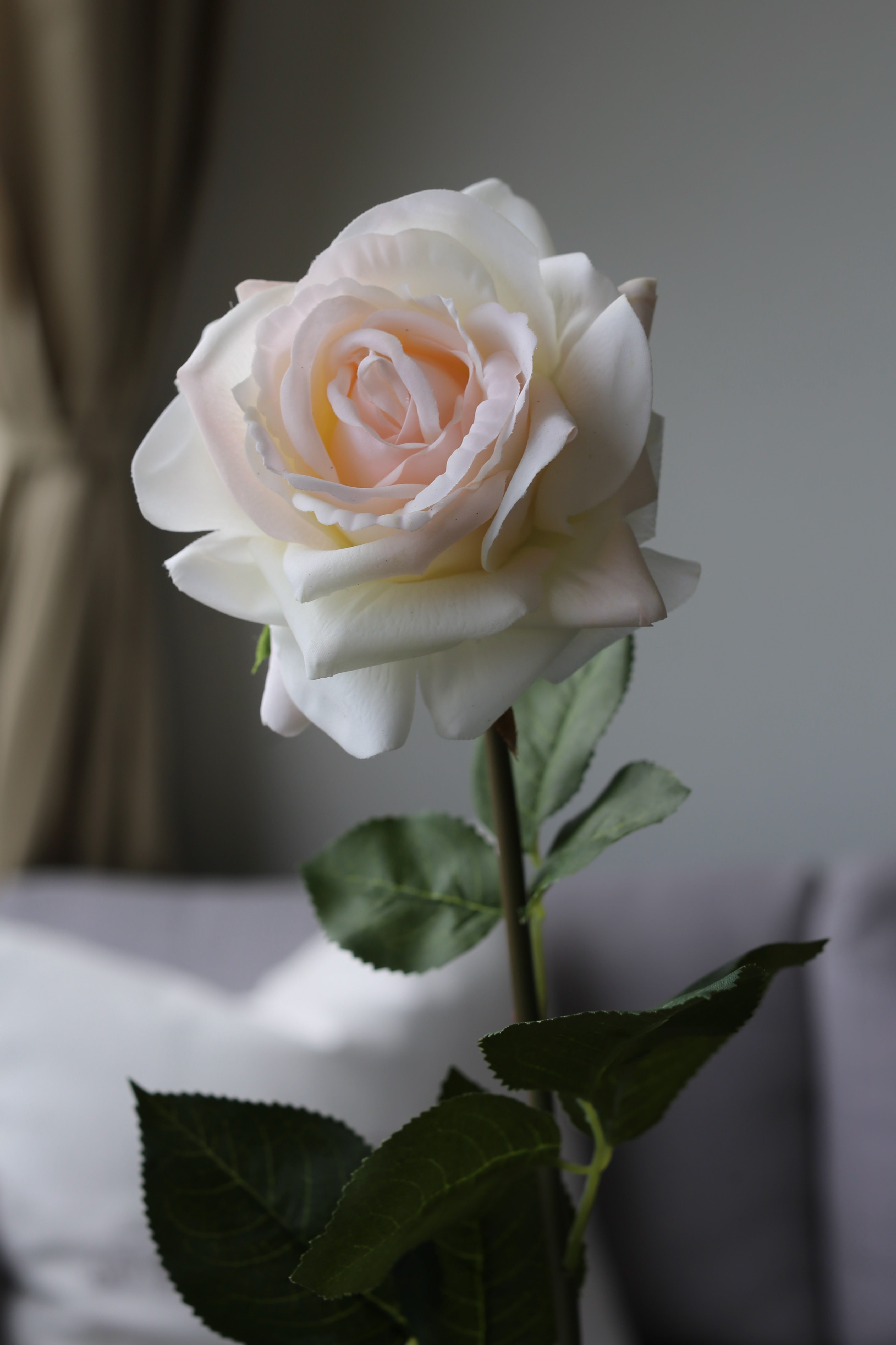 Peach Rose – Premium Real Touch Stem