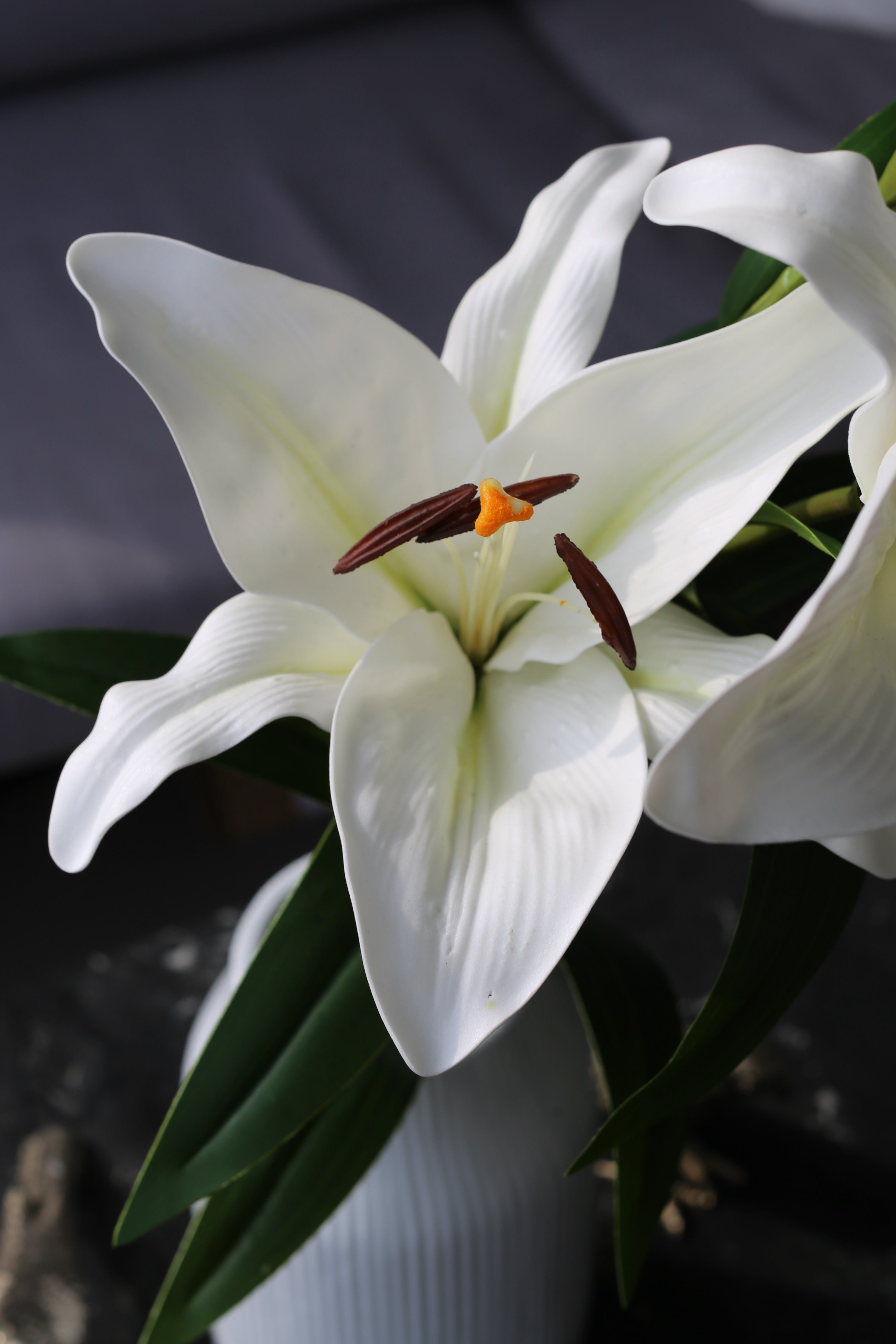 White Stargazer Lily – Premium Real Touch Stem
