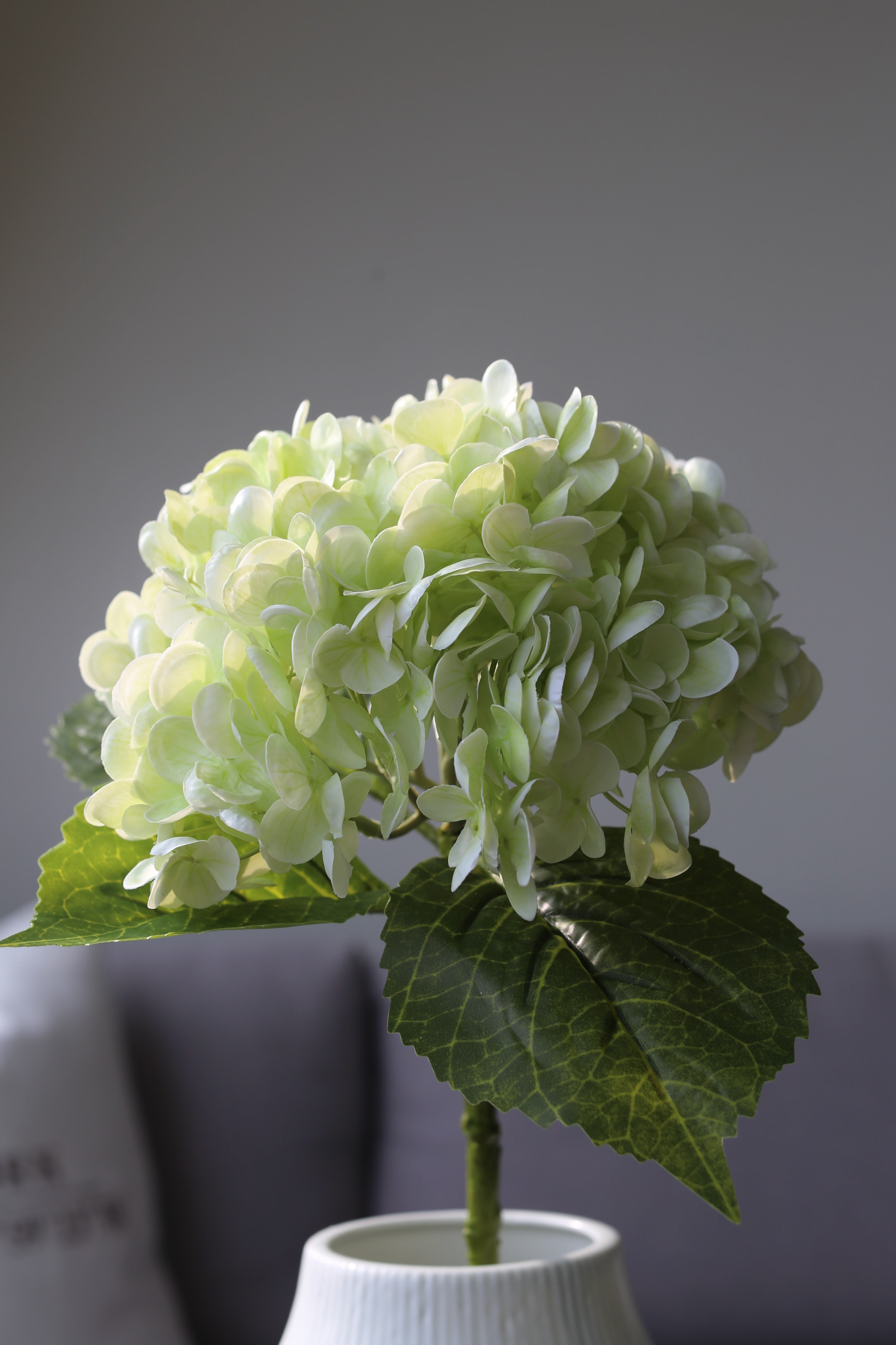 Light Green Hydrangea – Premium Real Touch Stem