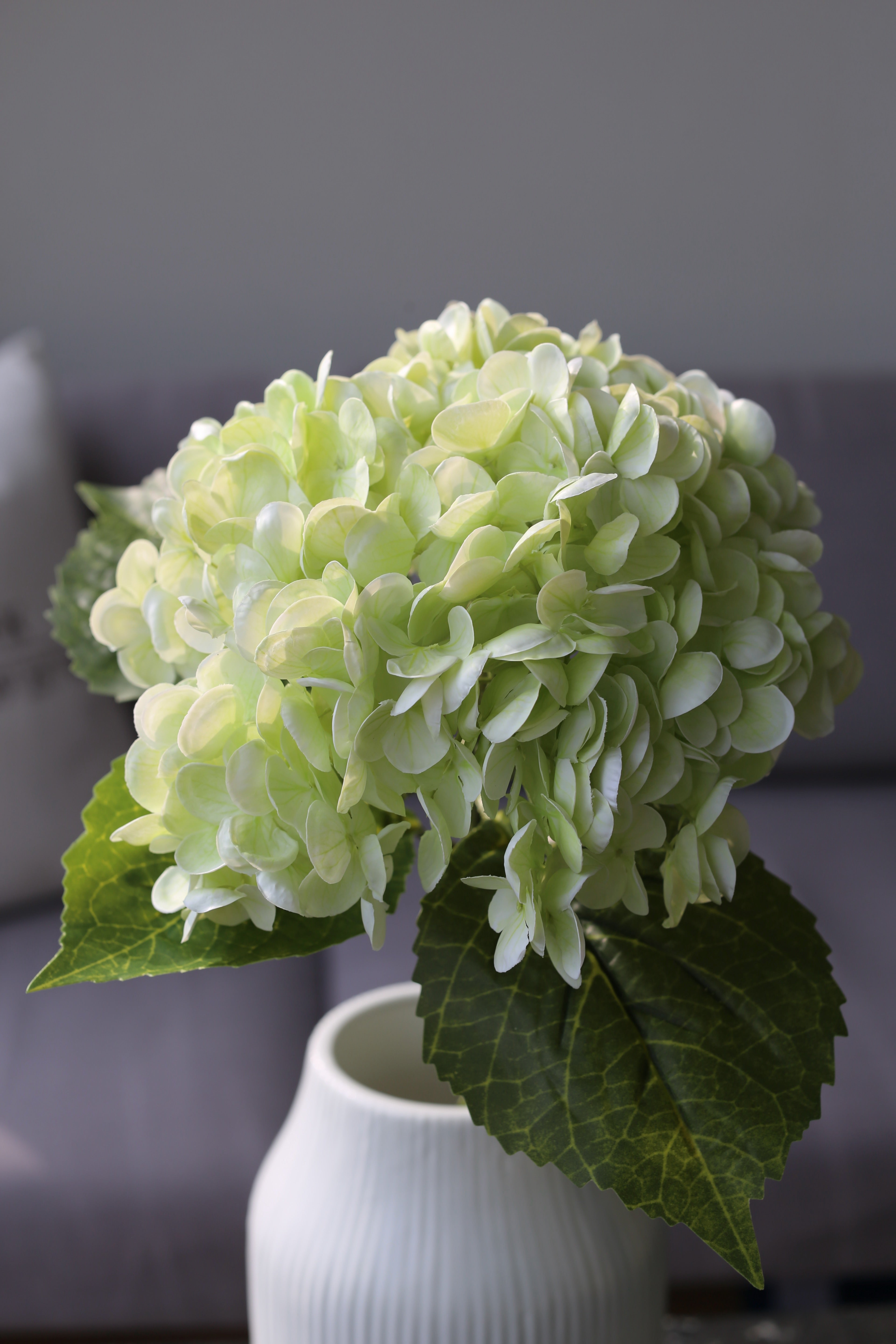 Light Green Hydrangea – Premium Real Touch Stem