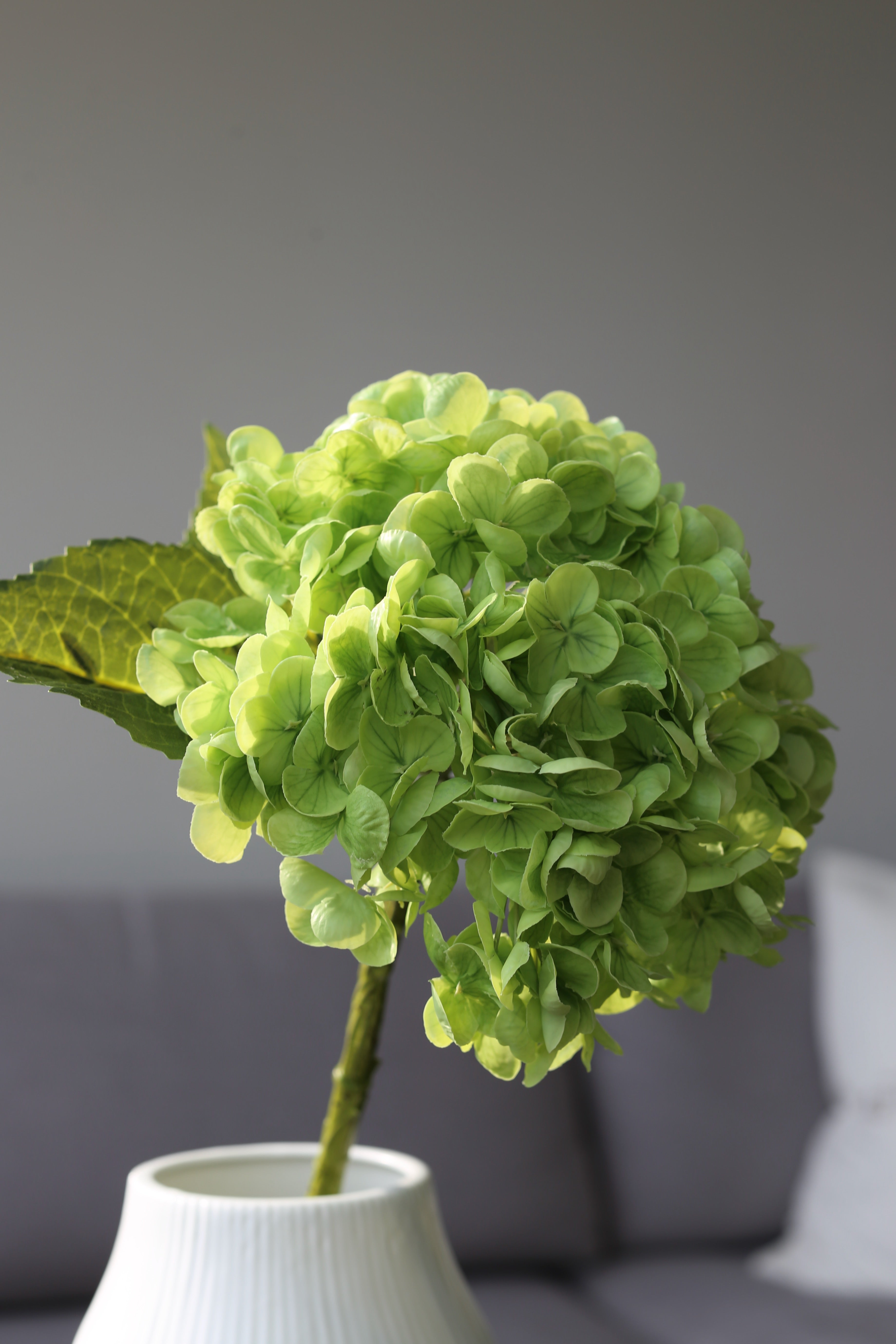 Green Hydrangea – Premium Real Touch Stem
